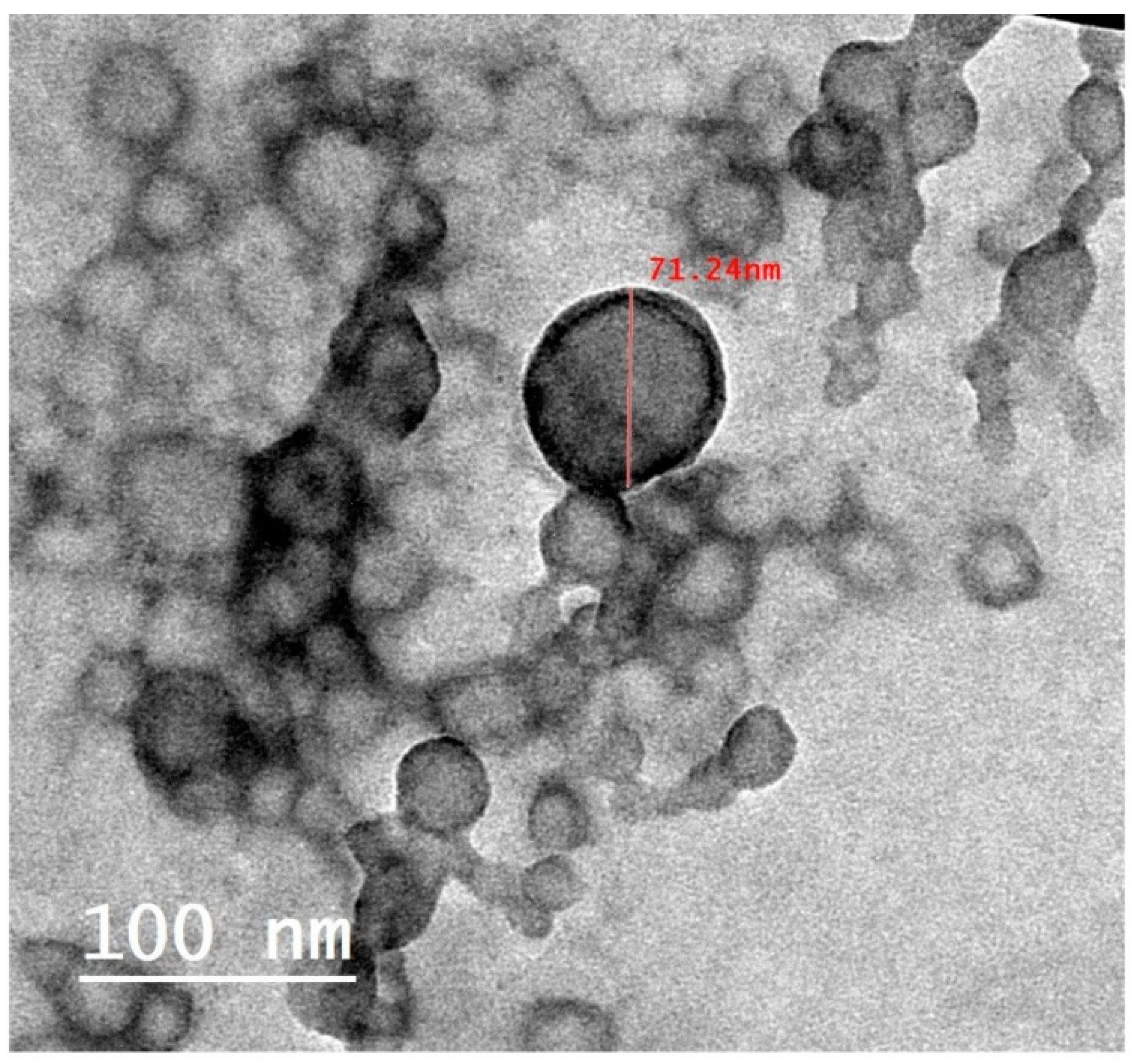 Pharmaceutics 15 01425 g006
