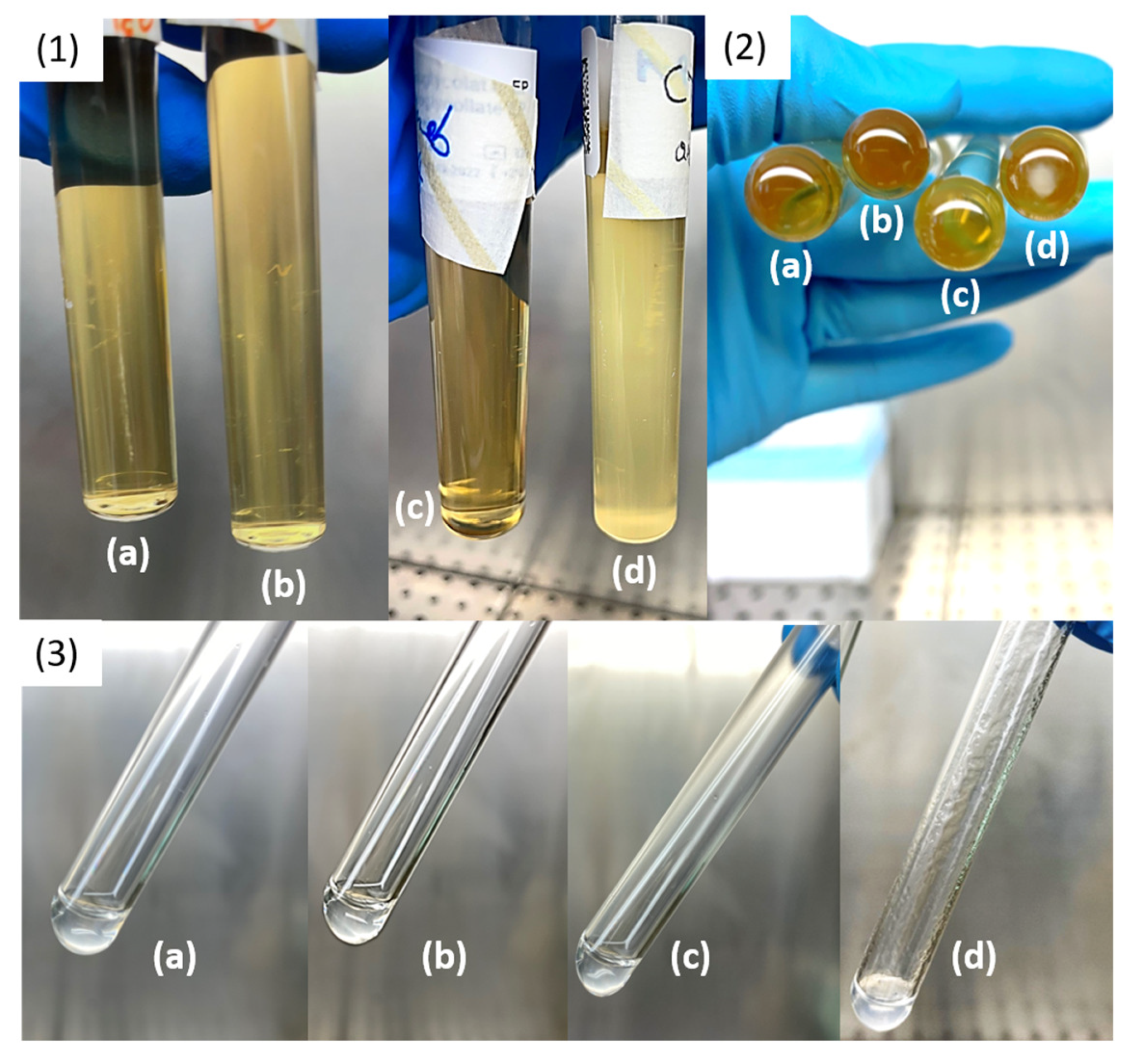 Pharmaceutics 15 01429 g005 Pharmaceutics 15 01429 g005