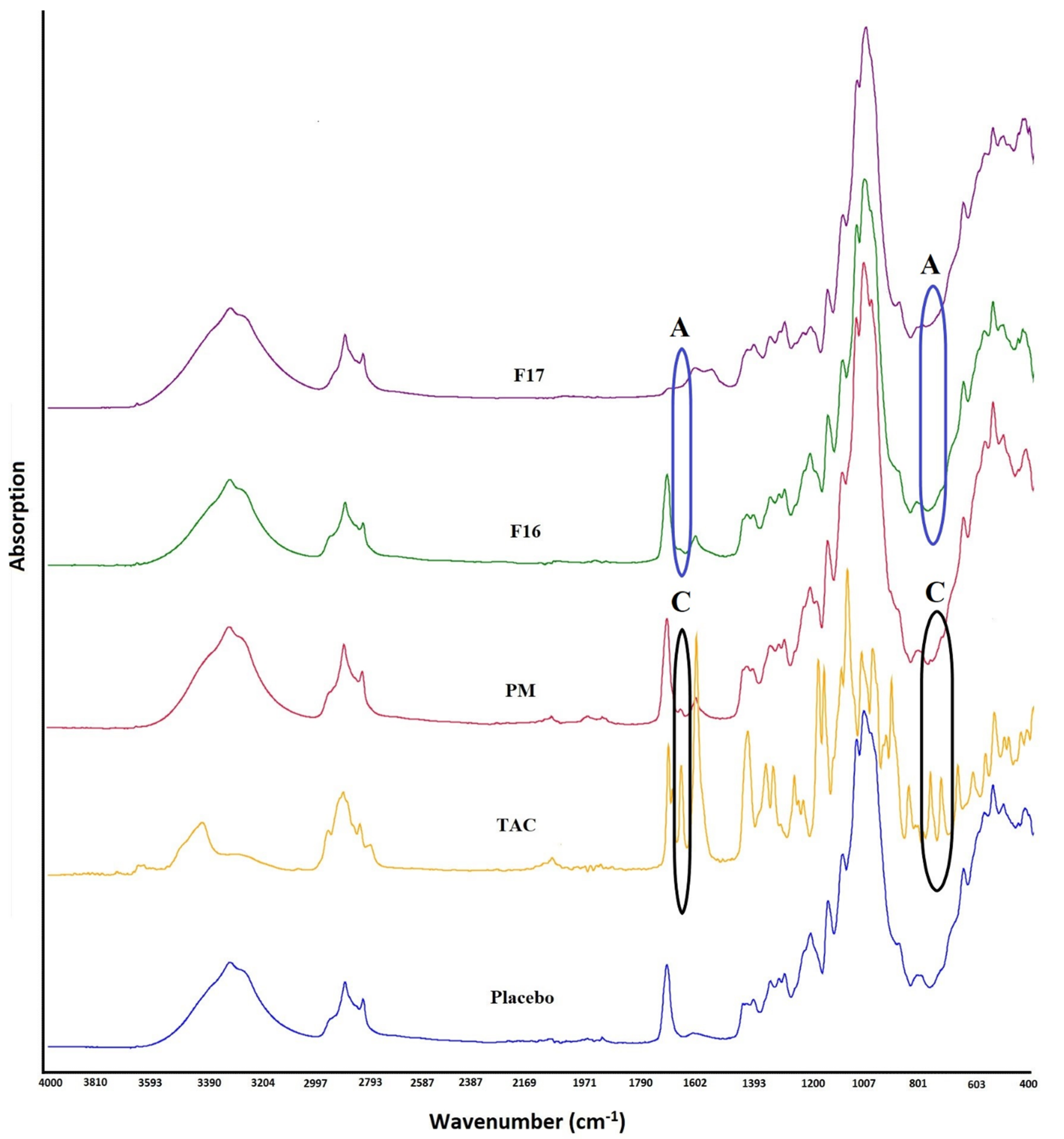 Pharmaceutics 15 01442 g002 Pharmaceutics 15 01442 g002