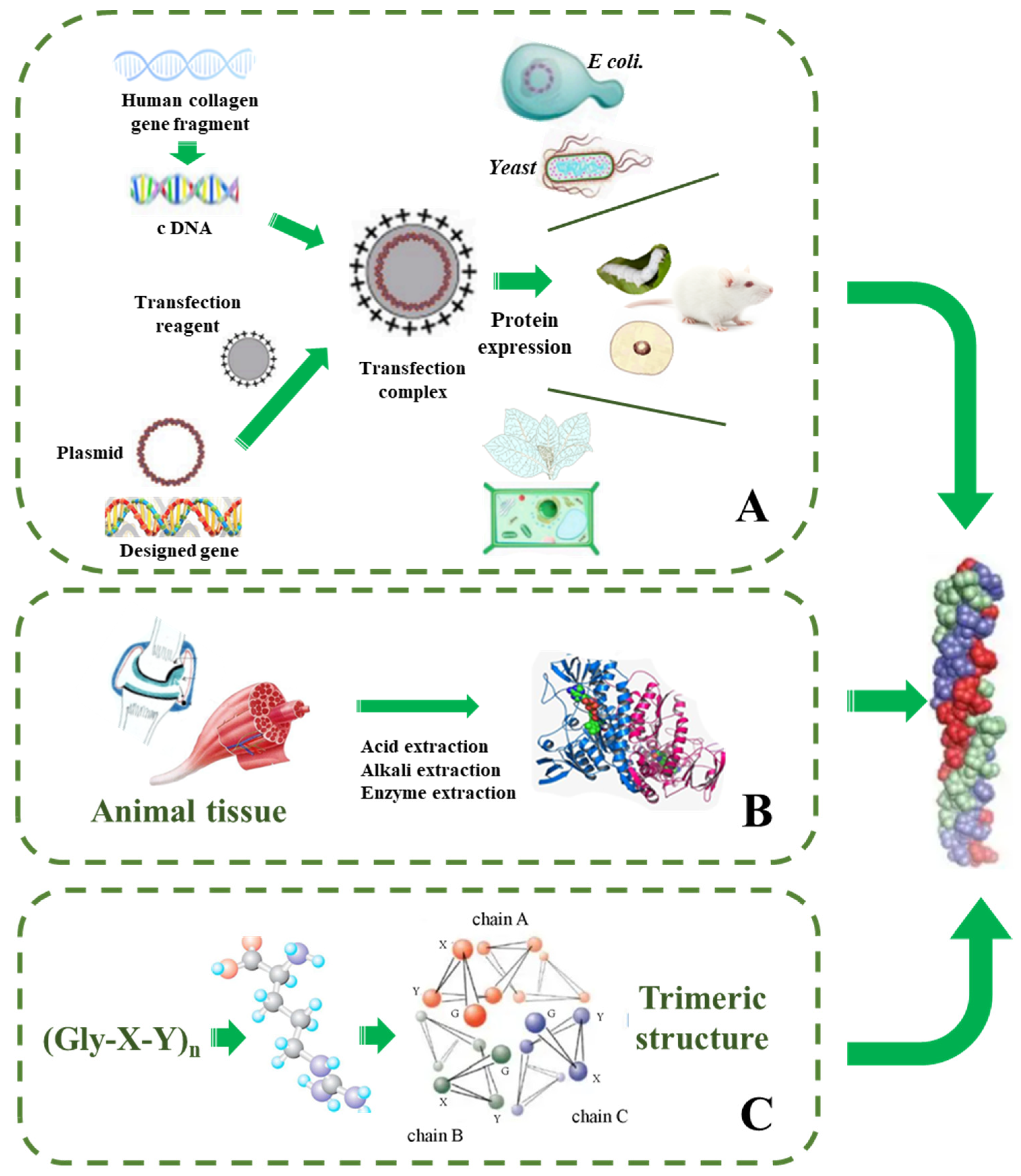 Pharmaceutics 15 01443 g003 Pharmaceutics 15 01443 g003