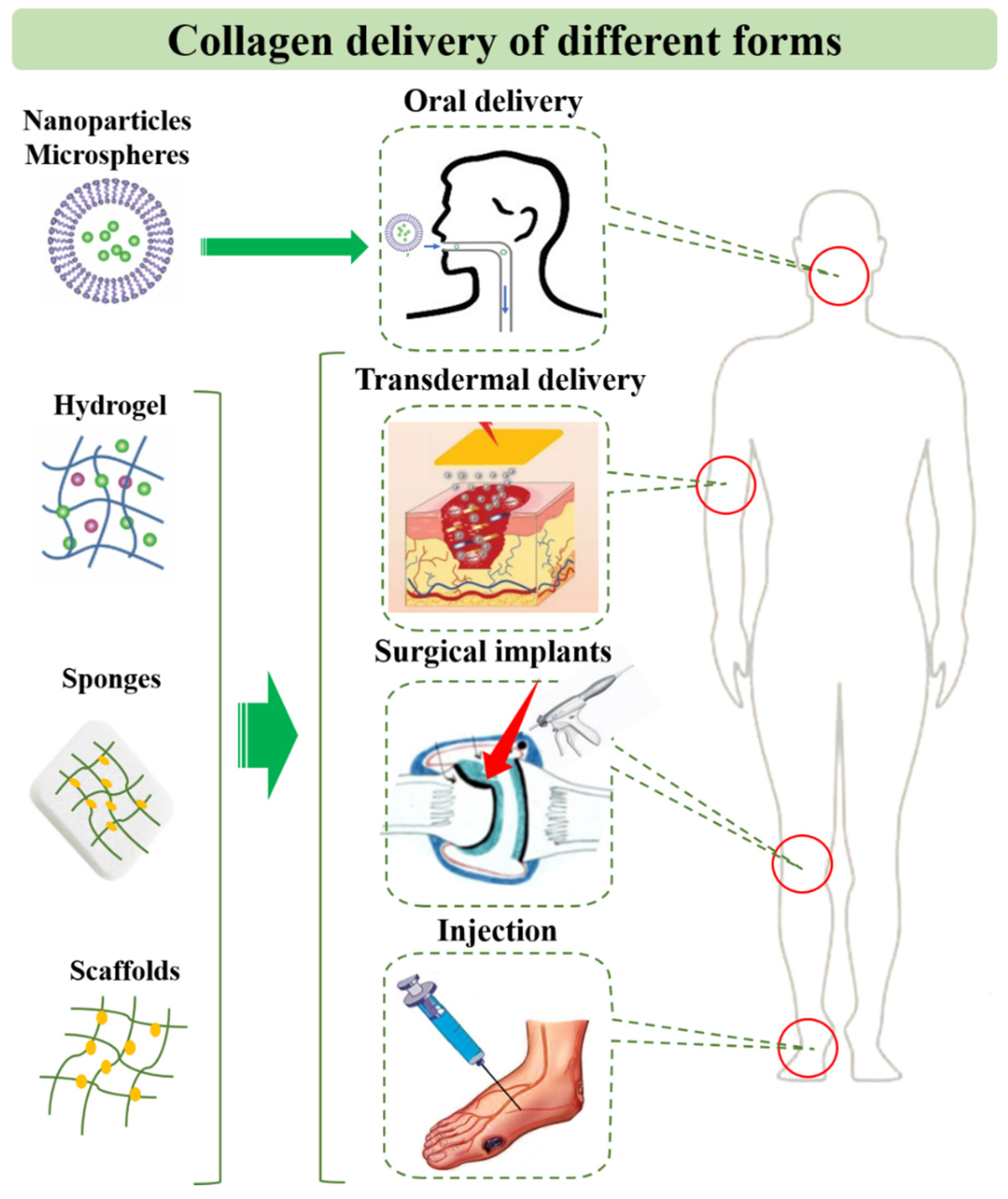 Pharmaceutics 15 01443 g004 Pharmaceutics 15 01443 g004