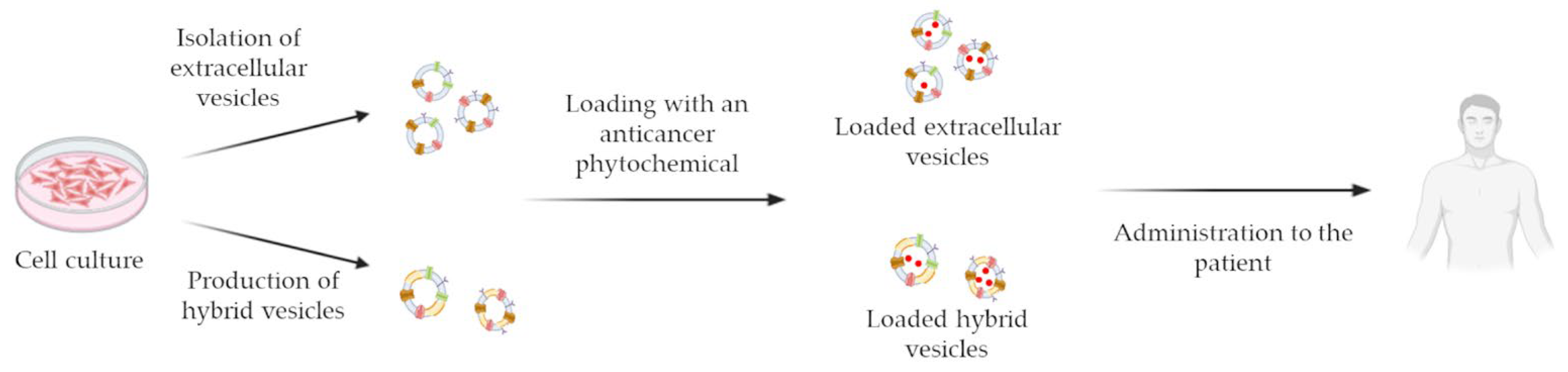 Pharmaceutics 15 01445 g001