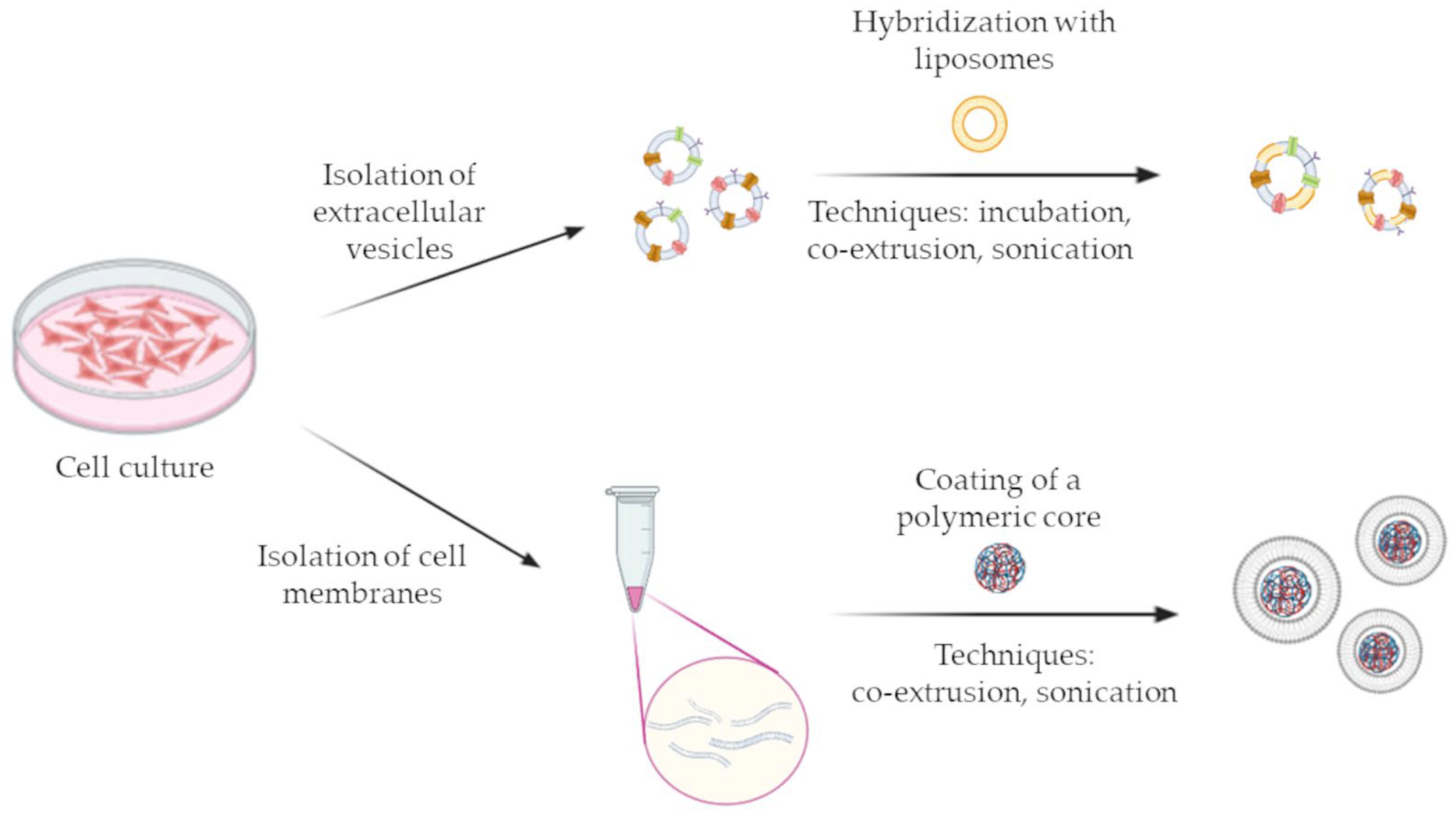Pharmaceutics 15 01445 g002