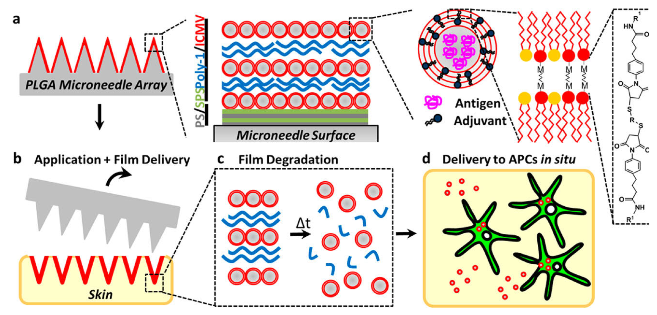 Pharmaceutics 15 01449 g007