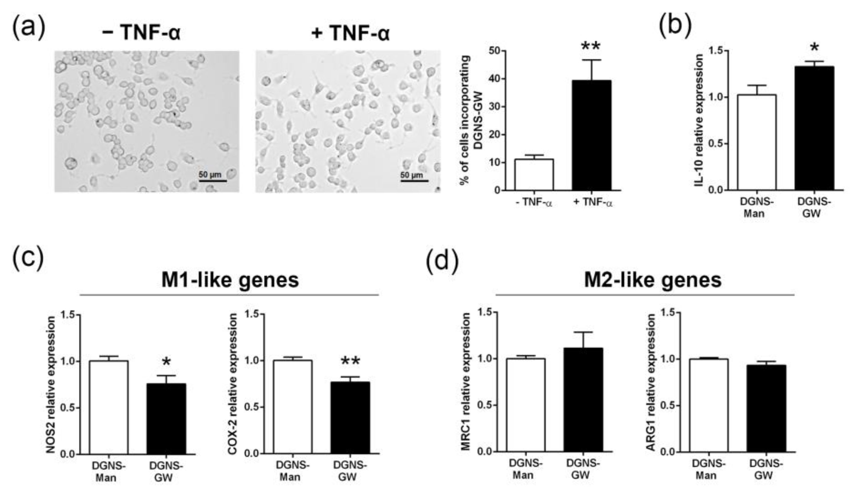 Pharmaceutics 15 01452 g003 Pharmaceutics 15 01452 g003