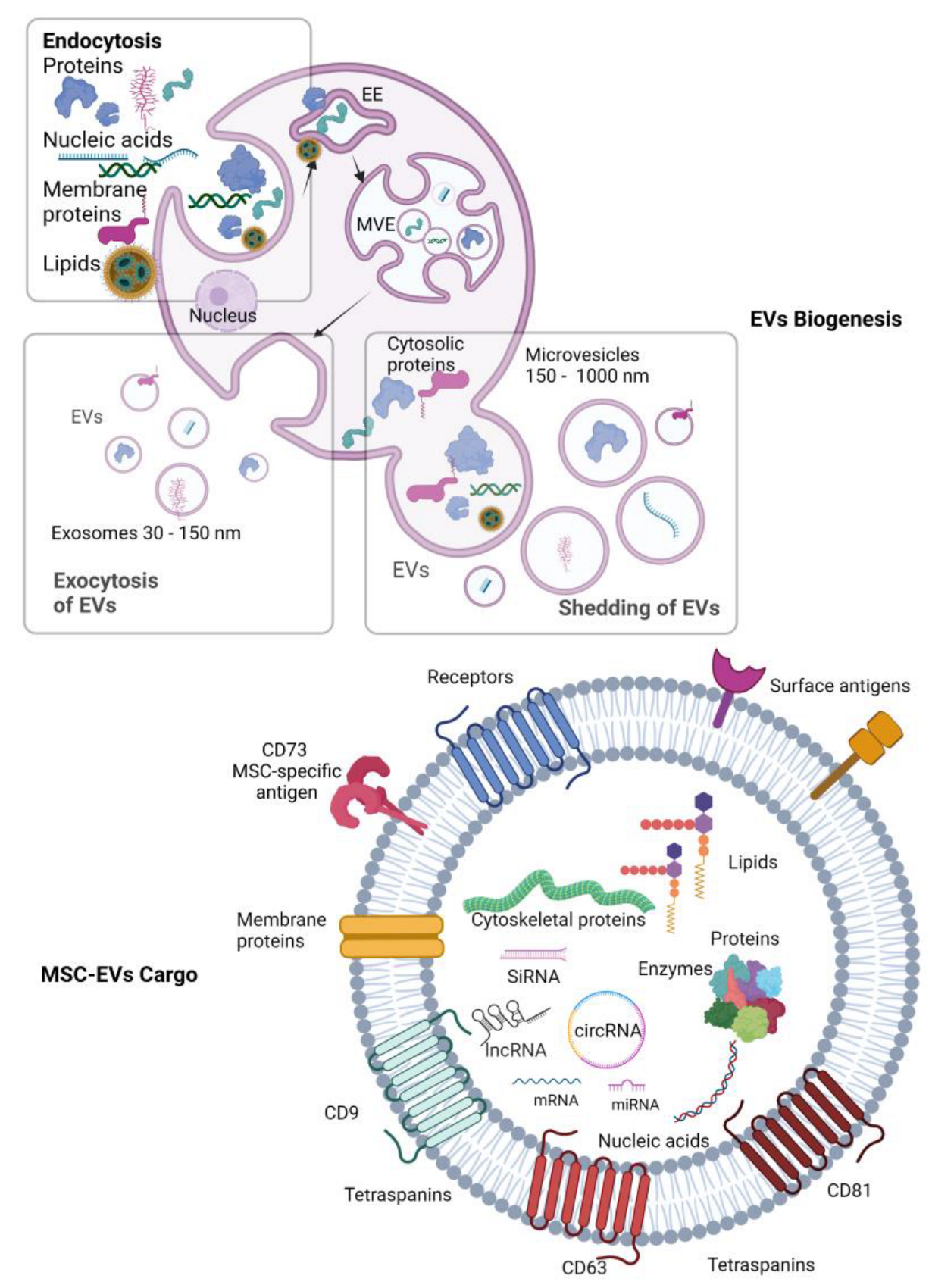 Pharmaceutics 15 01453 g001