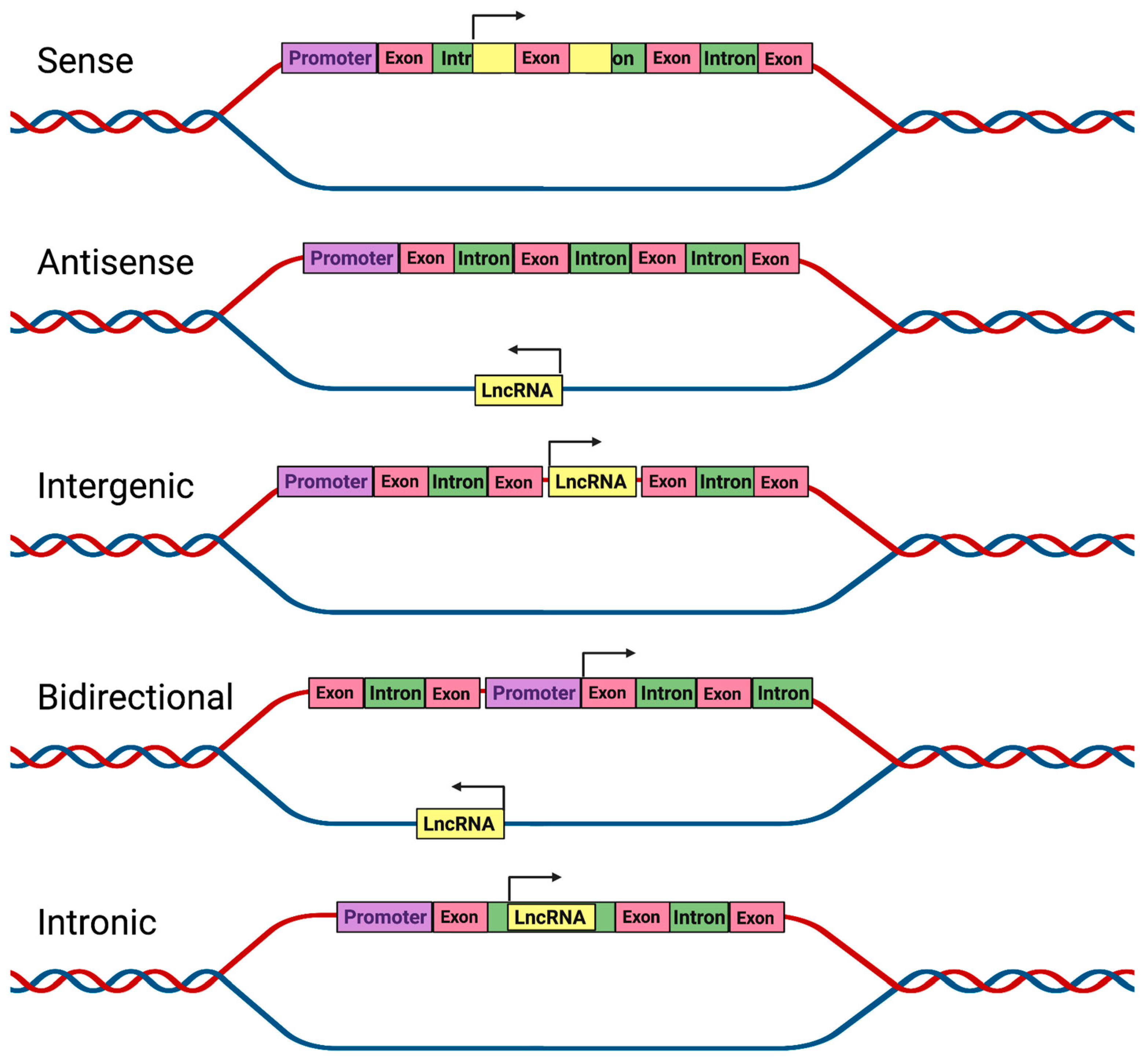 Pharmaceutics 15 01454 g001 Pharmaceutics 15 01454 g001