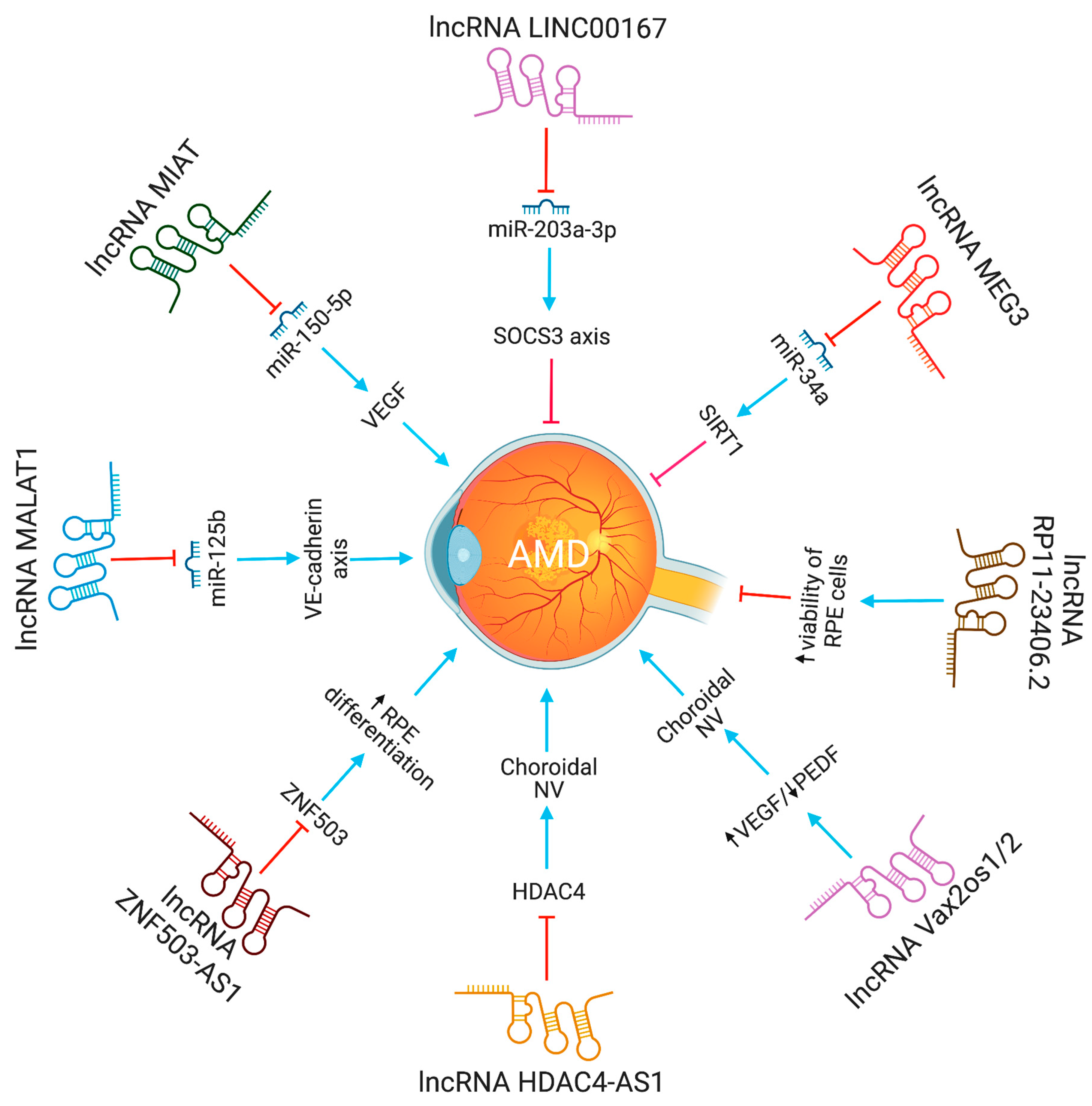 Pharmaceutics 15 01454 g003 Pharmaceutics 15 01454 g003