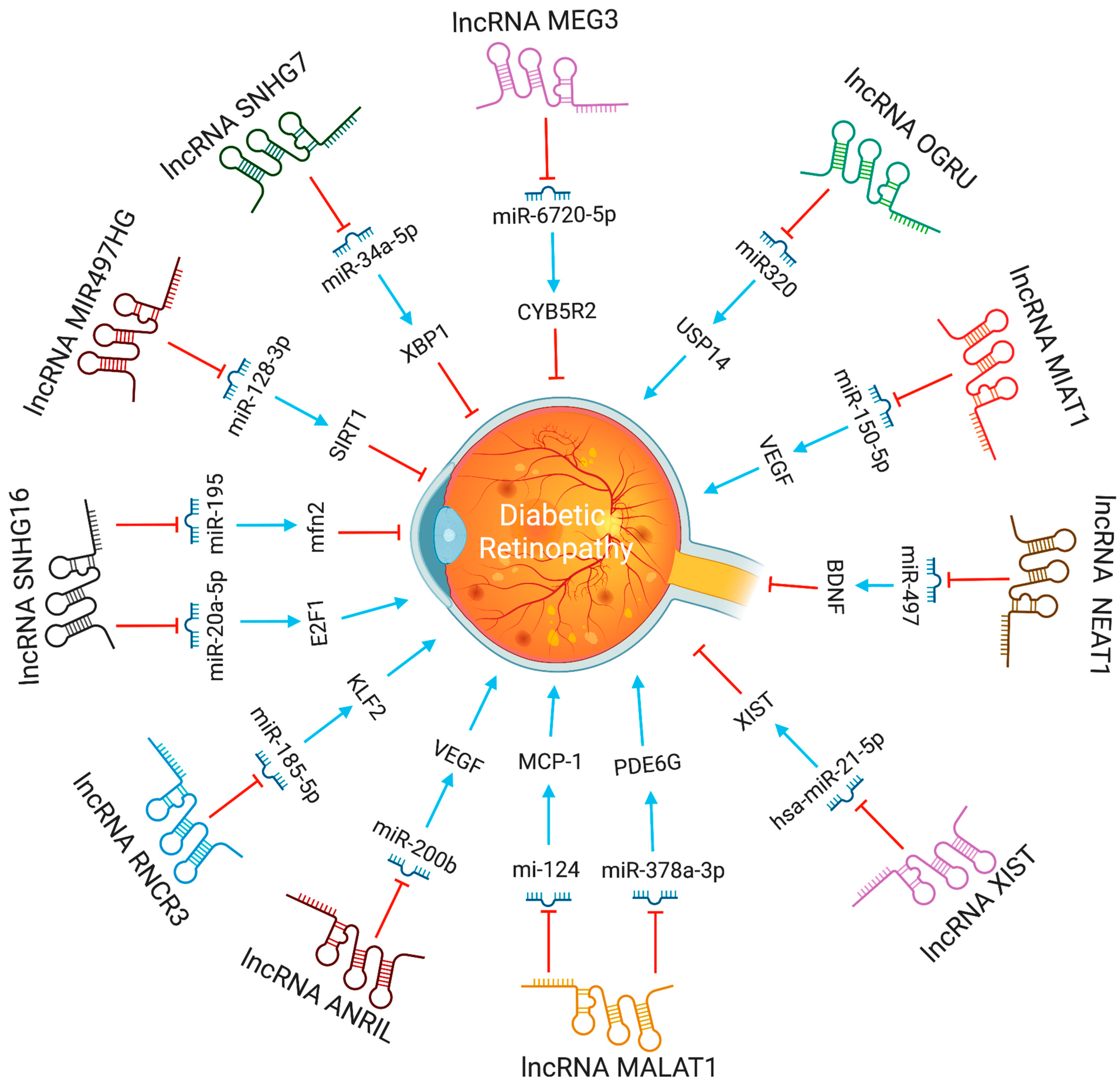 Pharmaceutics 15 01454 g004 Pharmaceutics 15 01454 g004