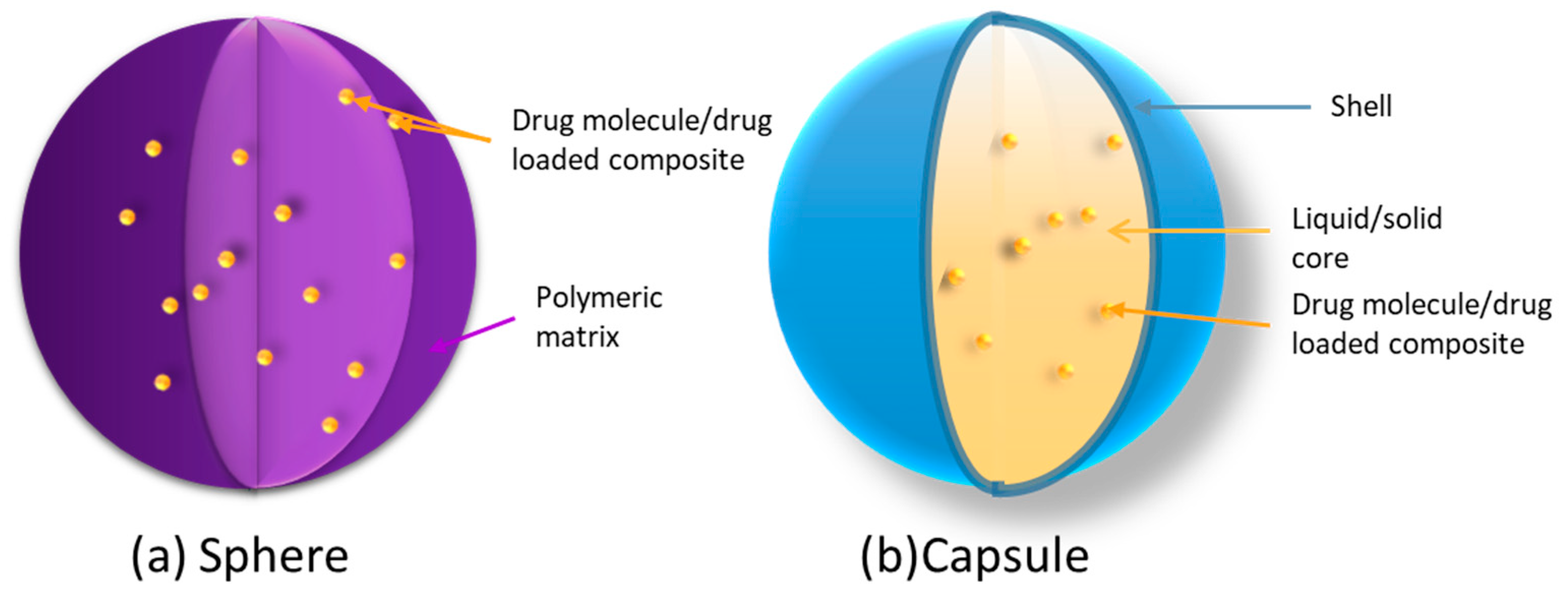 Pharmaceutics 15 01455 g006