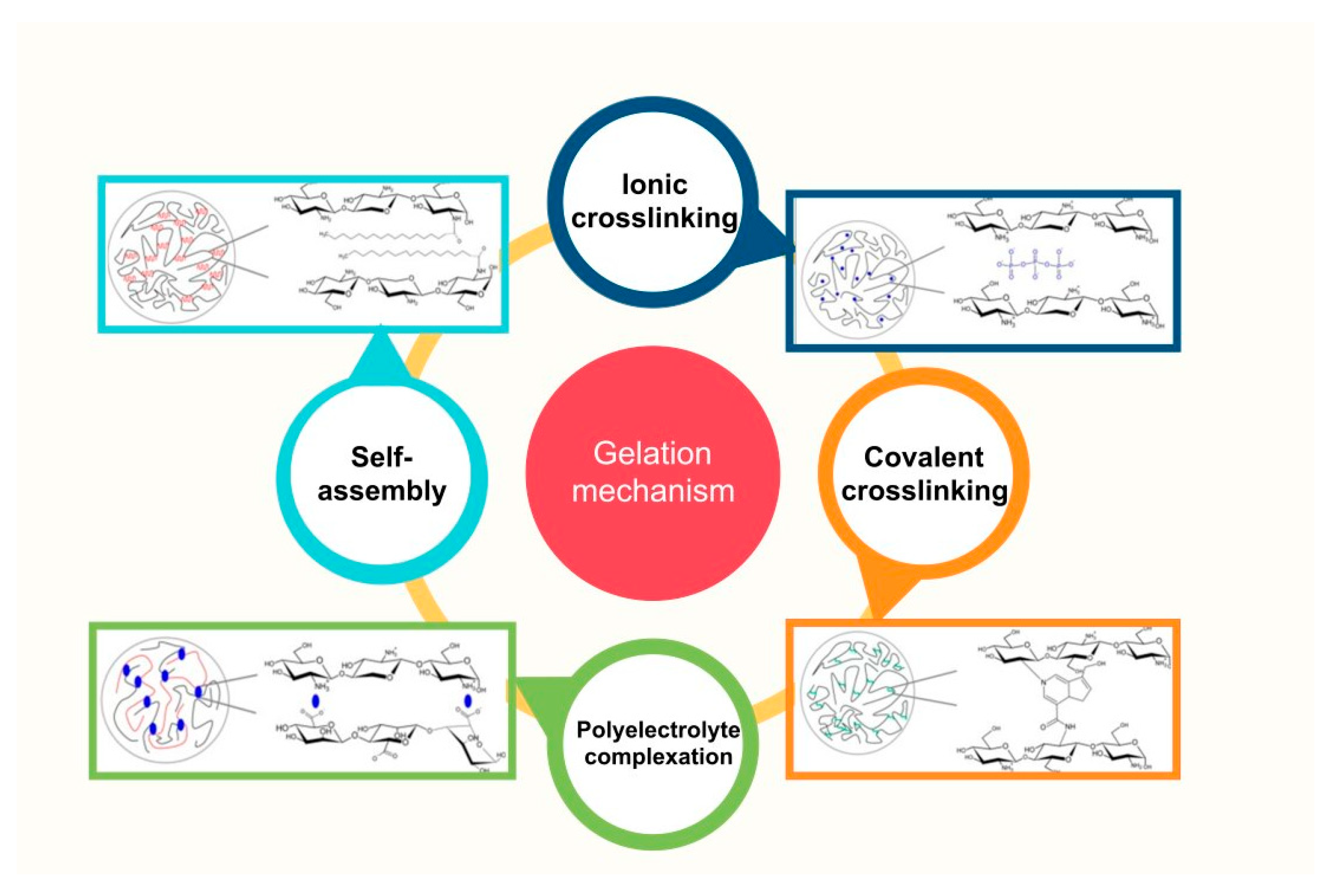 Pharmaceutics 15 01455 g007