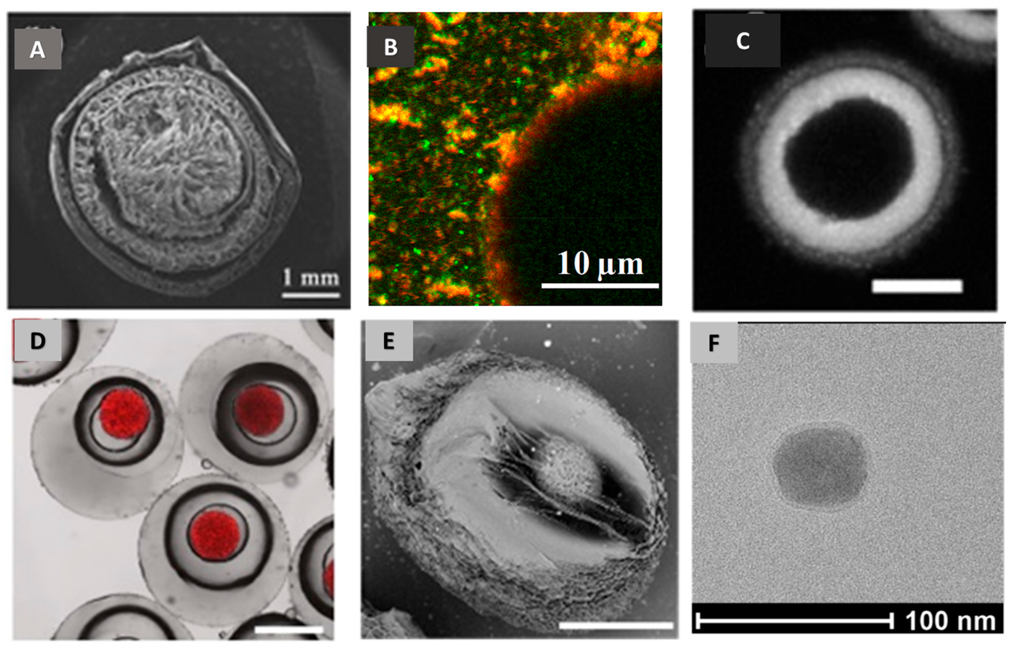 Pharmaceutics 15 01455 g009