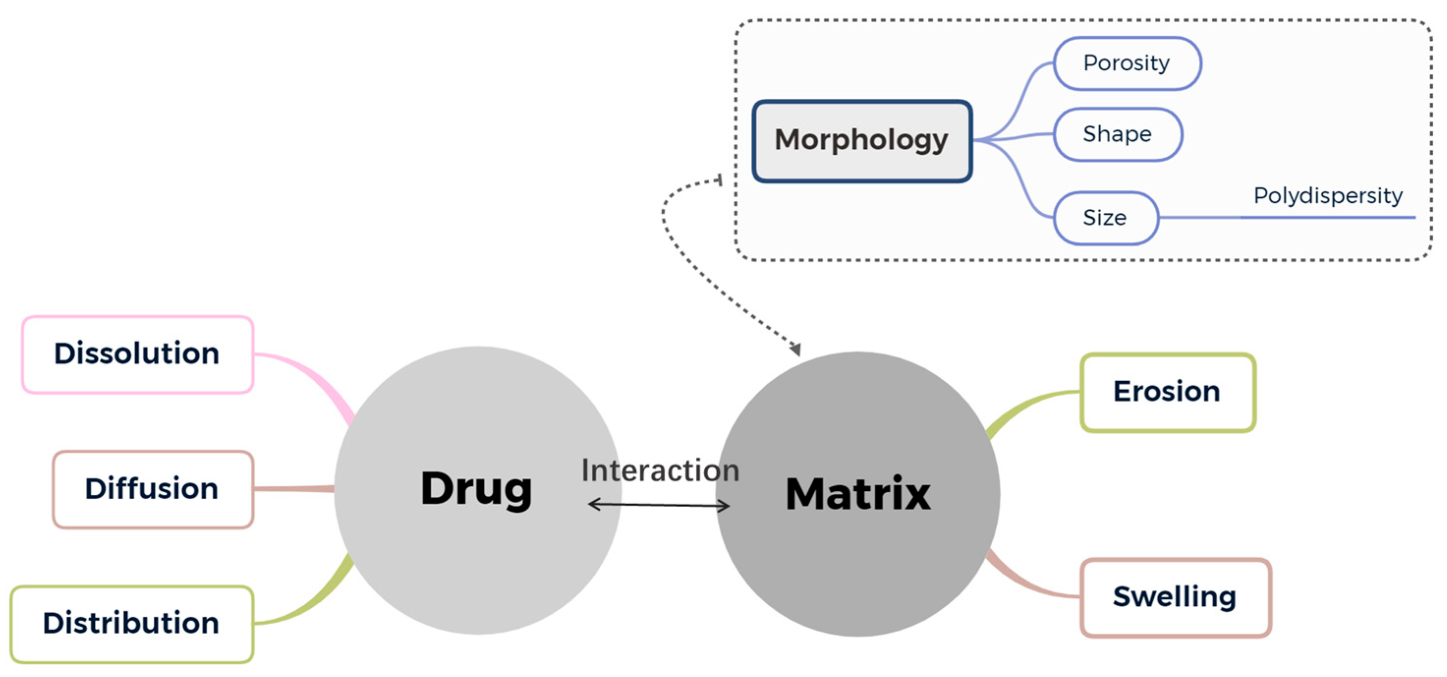 Pharmaceutics 15 01455 g011