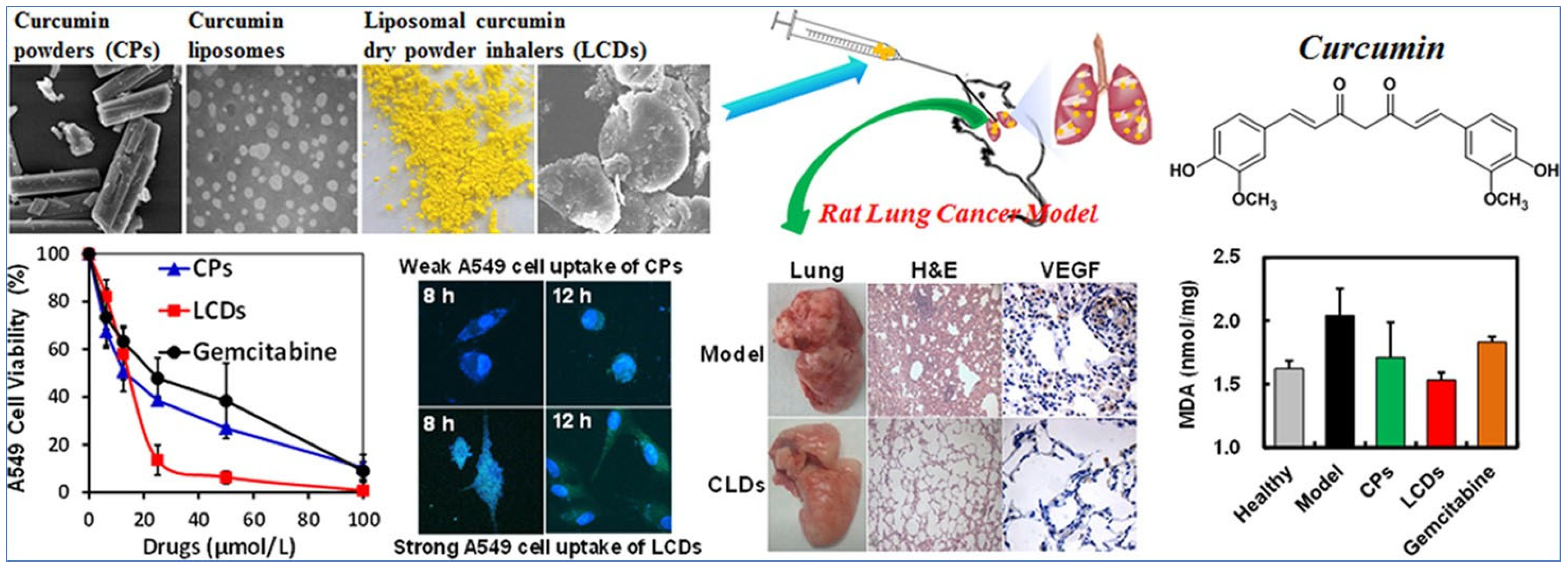 Pharmaceutics 15 01457 g003