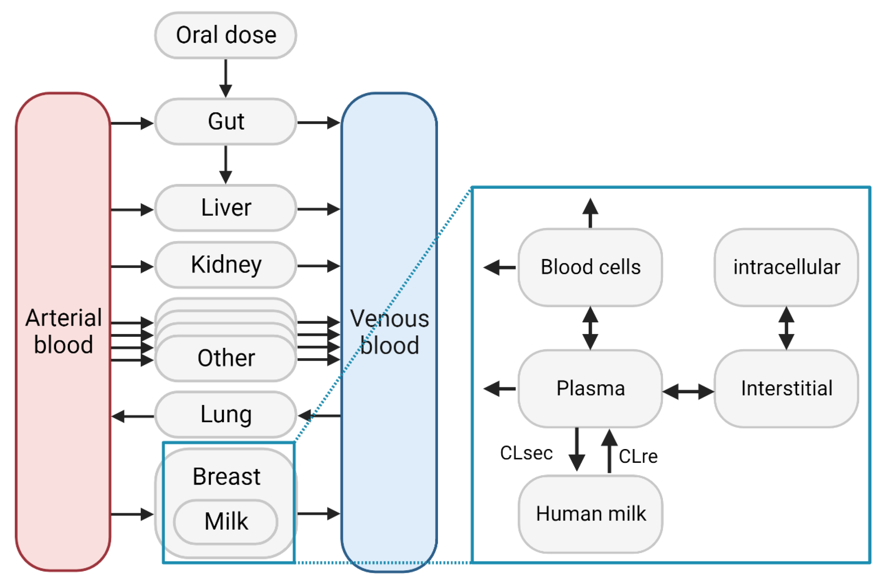 Pharmaceutics 15 01469 g002