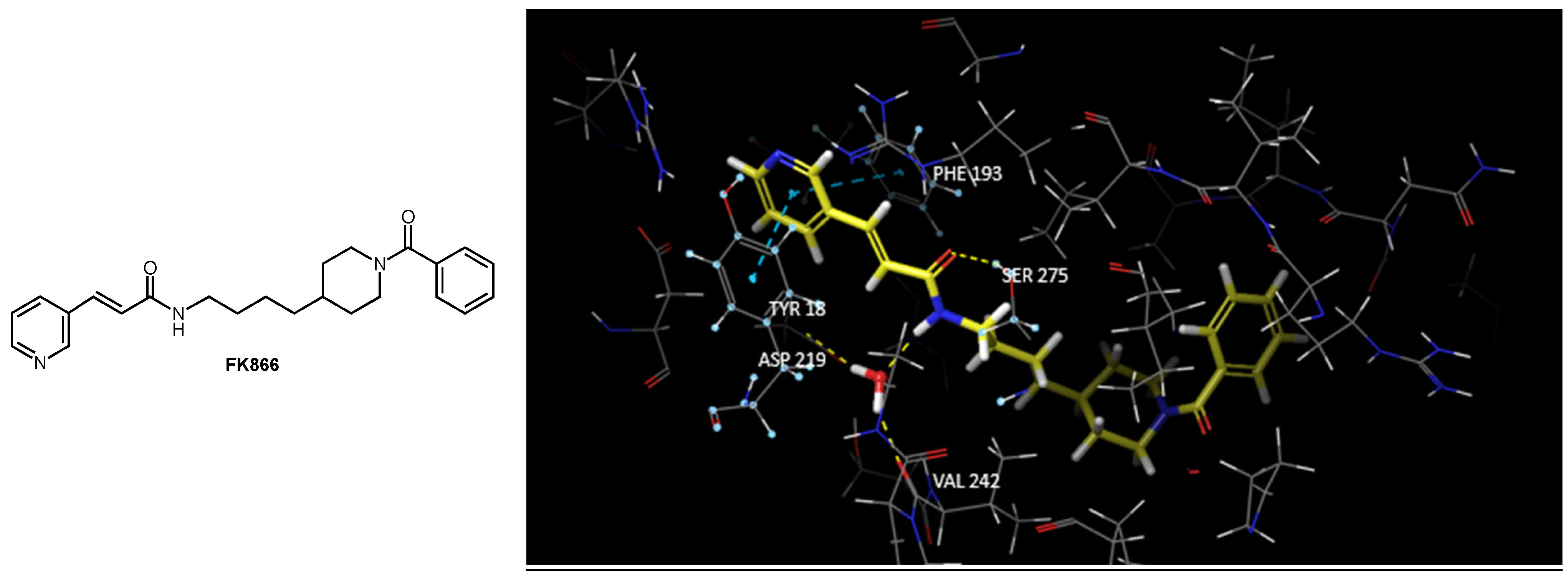 Pharmaceutics 15 01472 g002