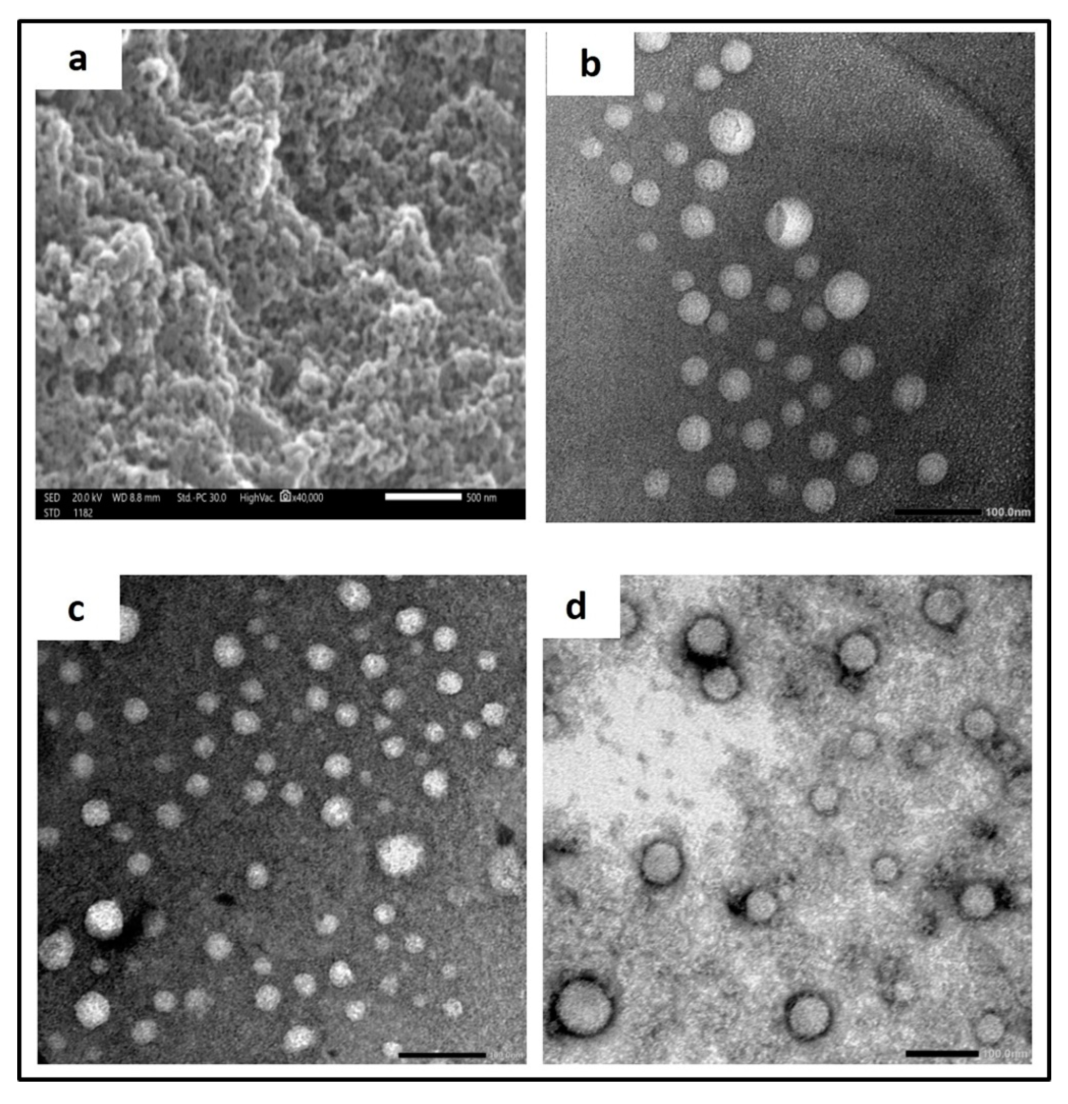 Pharmaceutics 15 01480 g003 Pharmaceutics 15 01480 g003