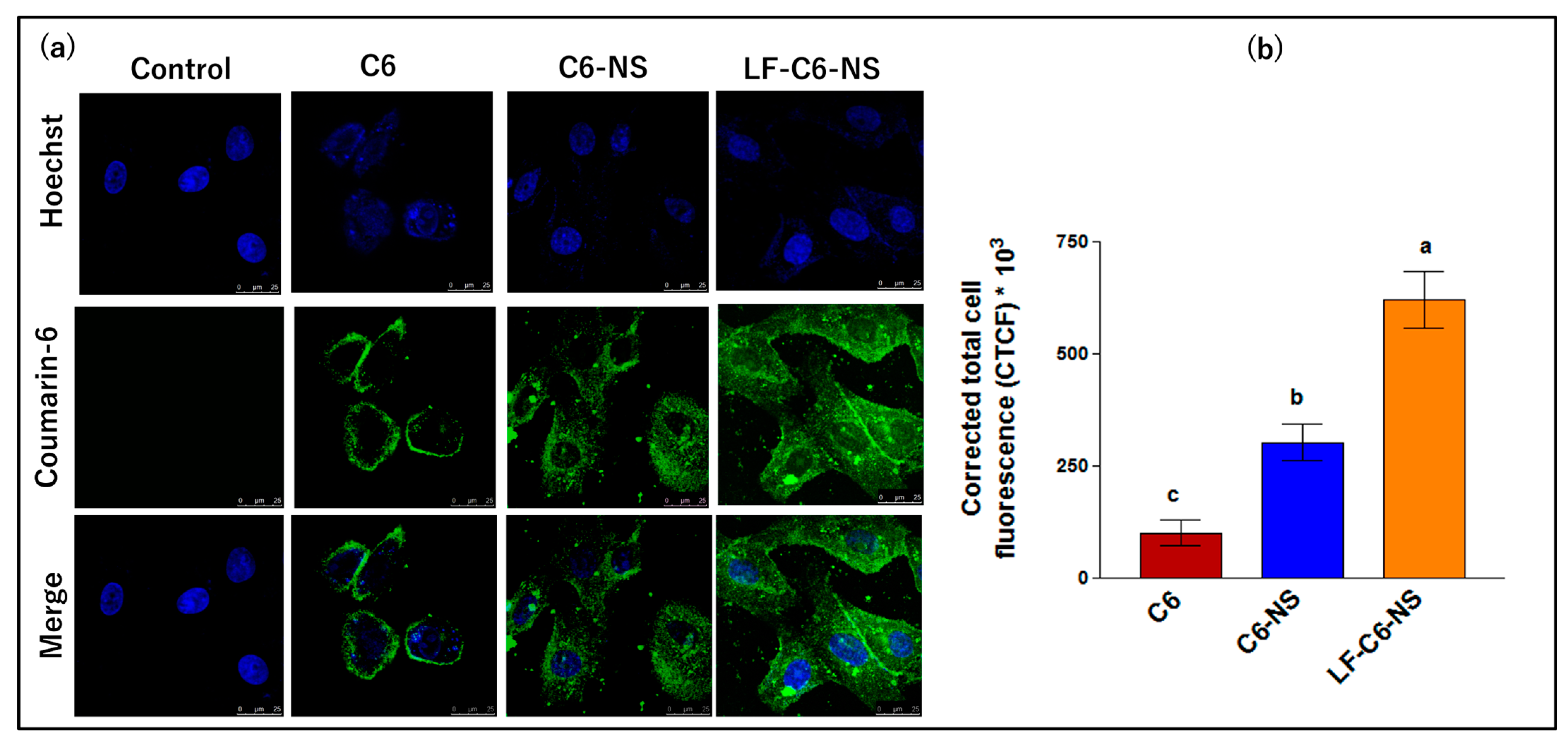 Pharmaceutics 15 01480 g007 Pharmaceutics 15 01480 g007