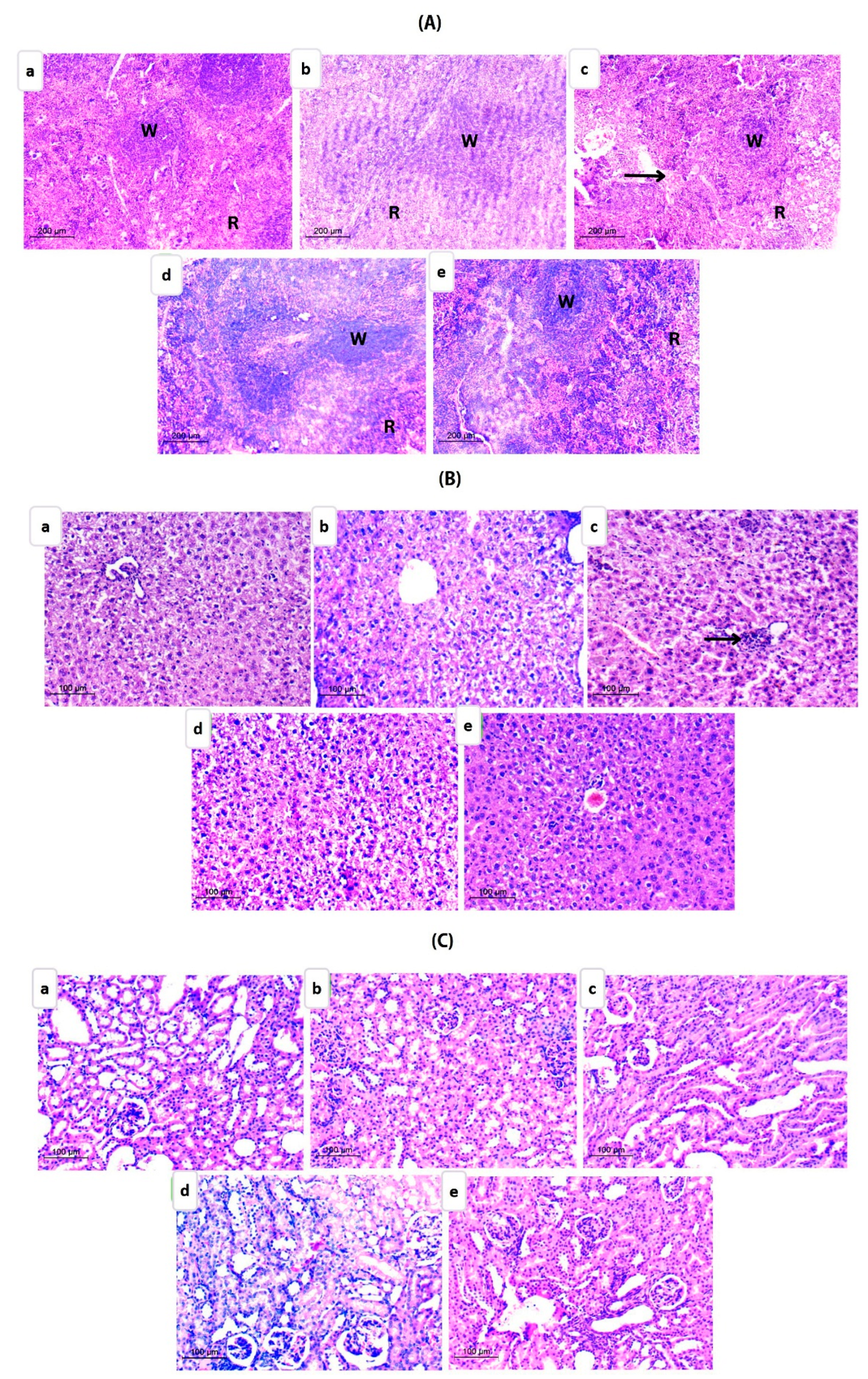 Pharmaceutics 15 01480 g011 Pharmaceutics 15 01480 g011