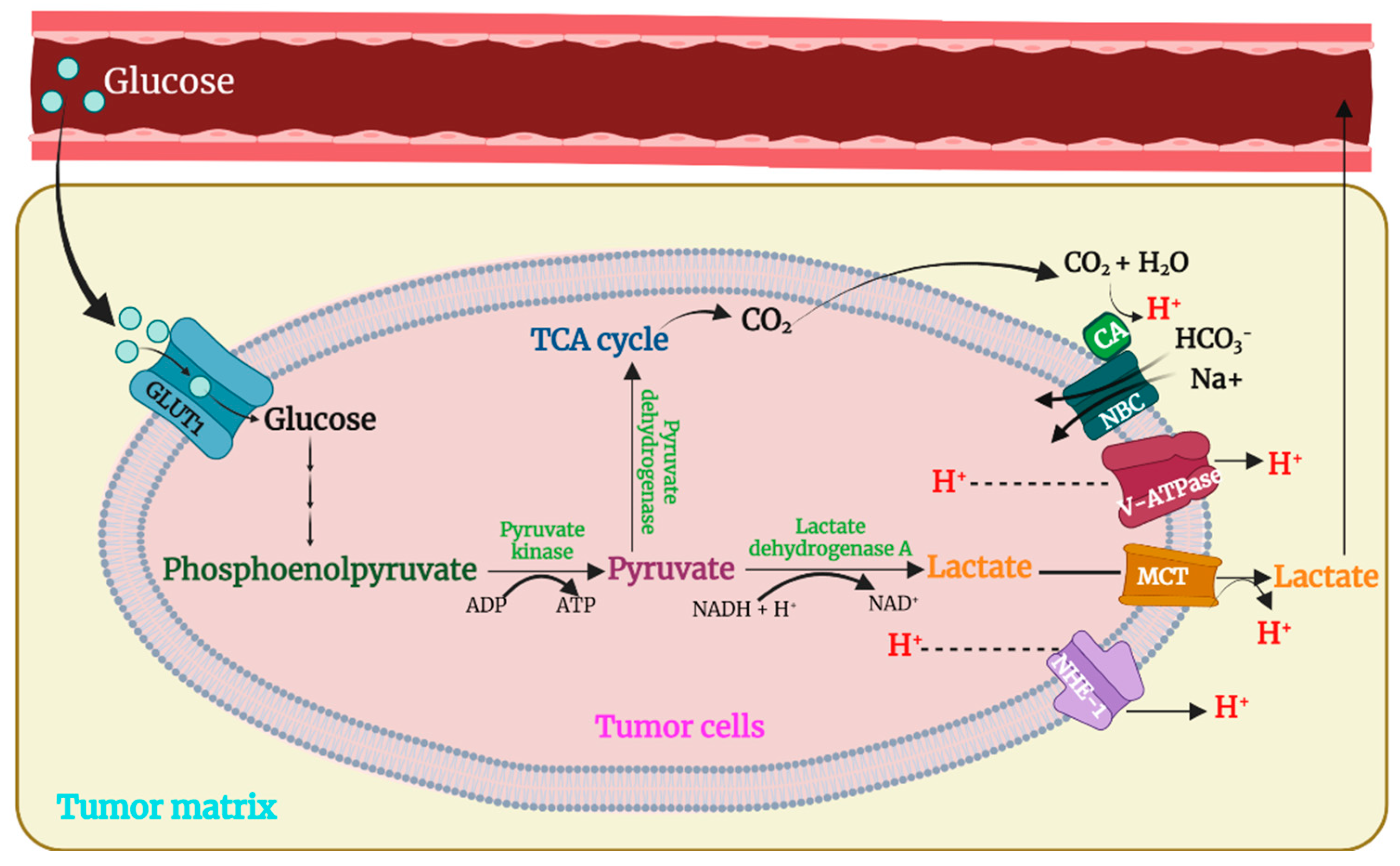 Pharmaceutics 15 01482 g002