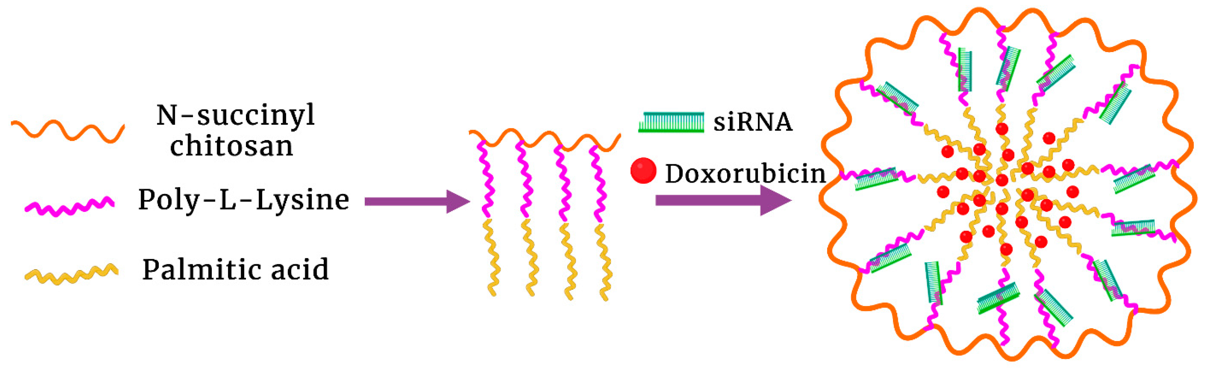 Pharmaceutics 15 01482 g006