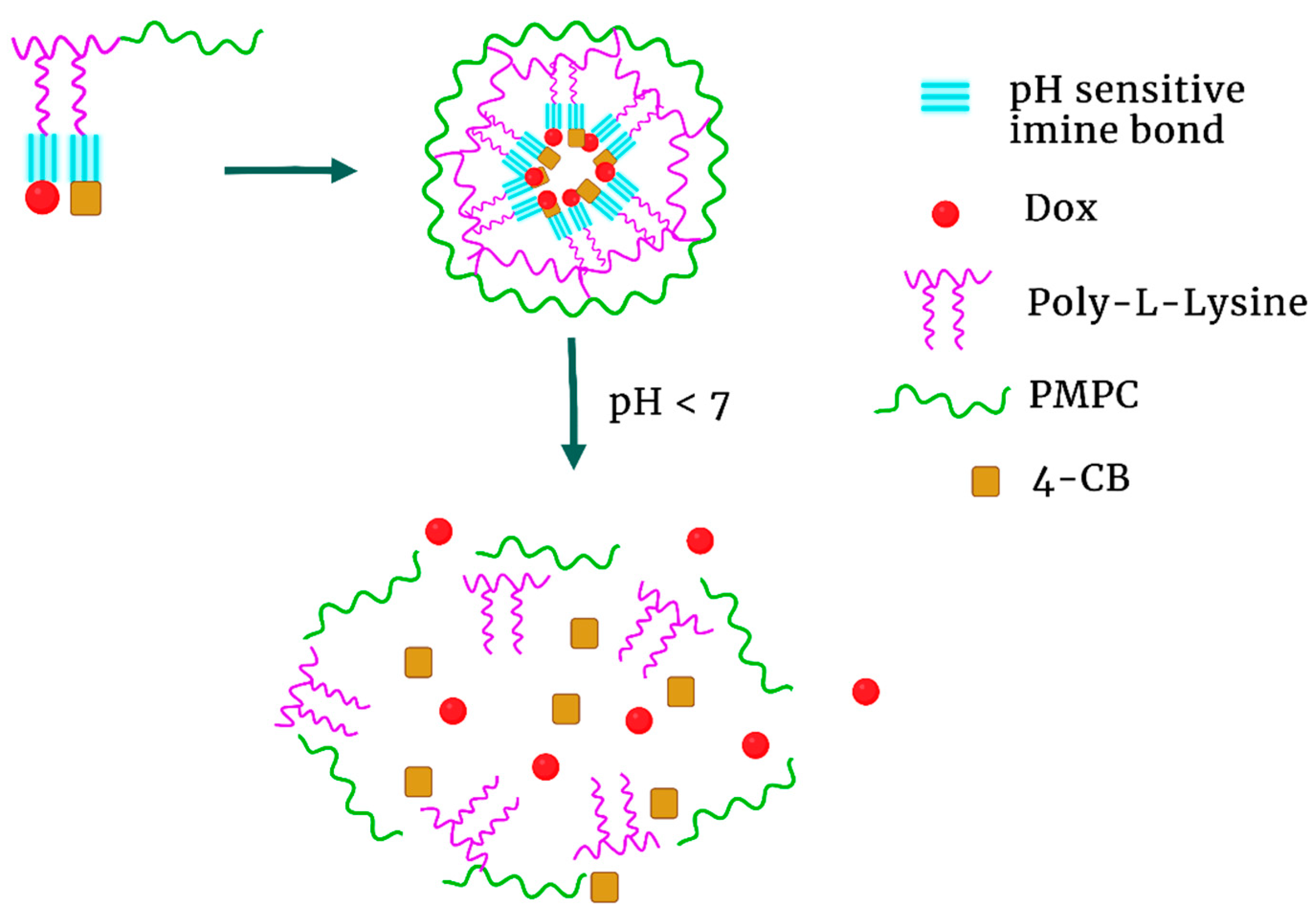 Pharmaceutics 15 01482 g008