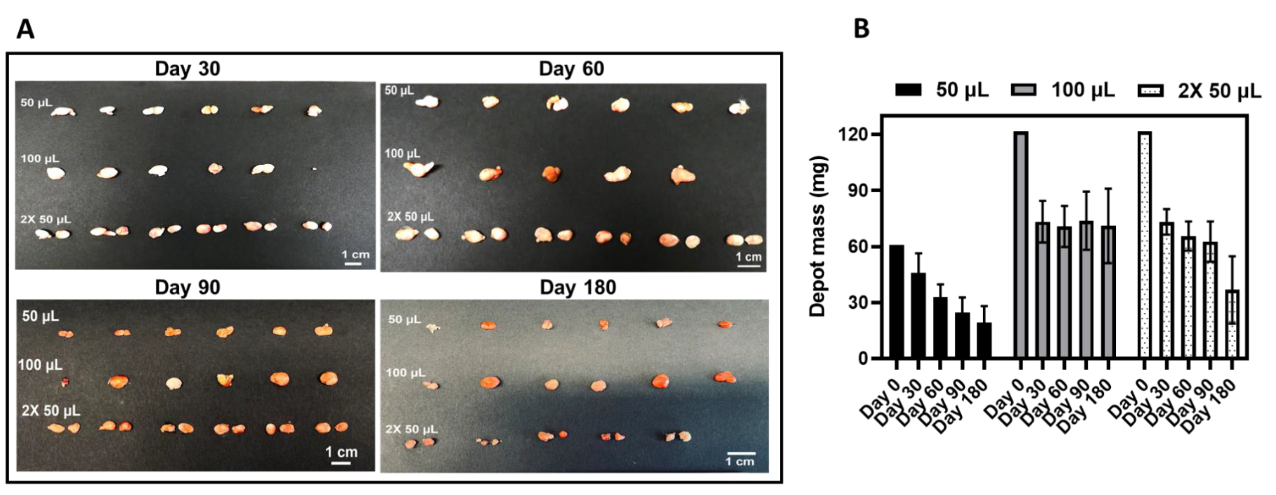 Pharmaceutics 15 01487 g005