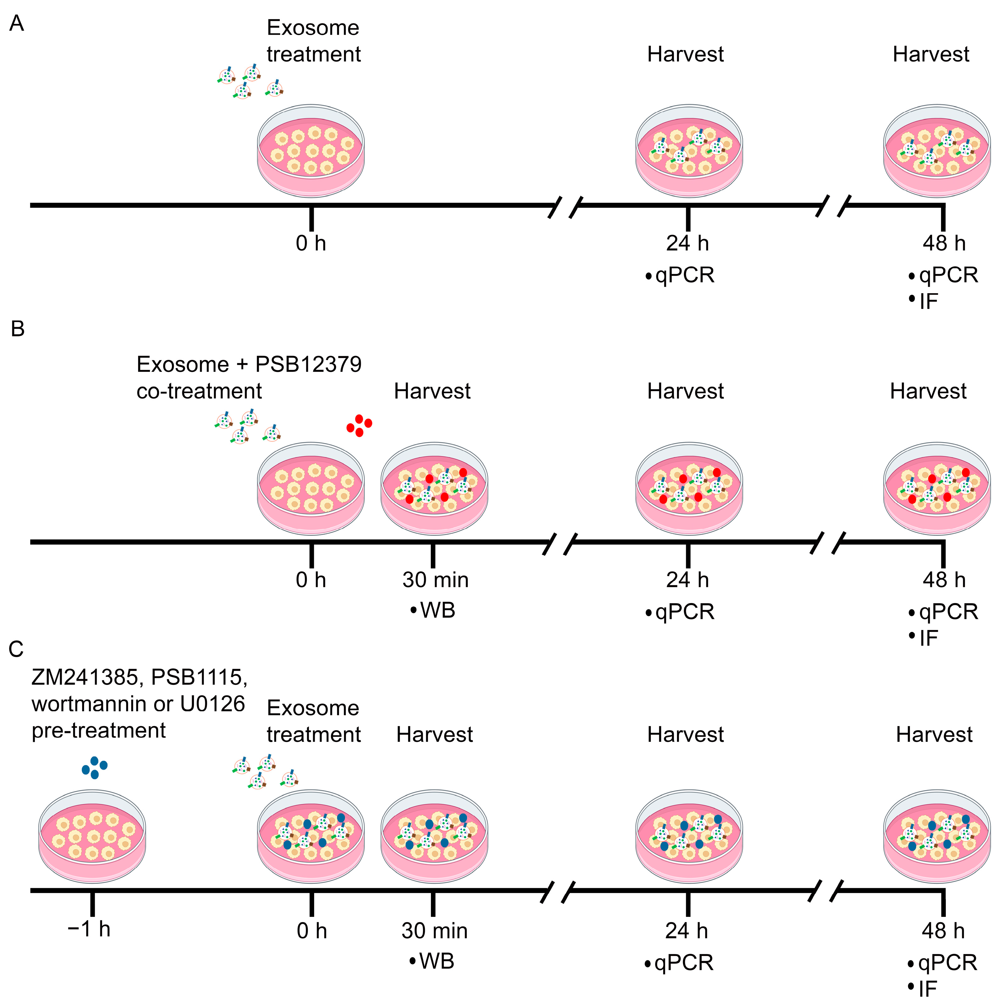 Pharmaceutics 15 01489 g001