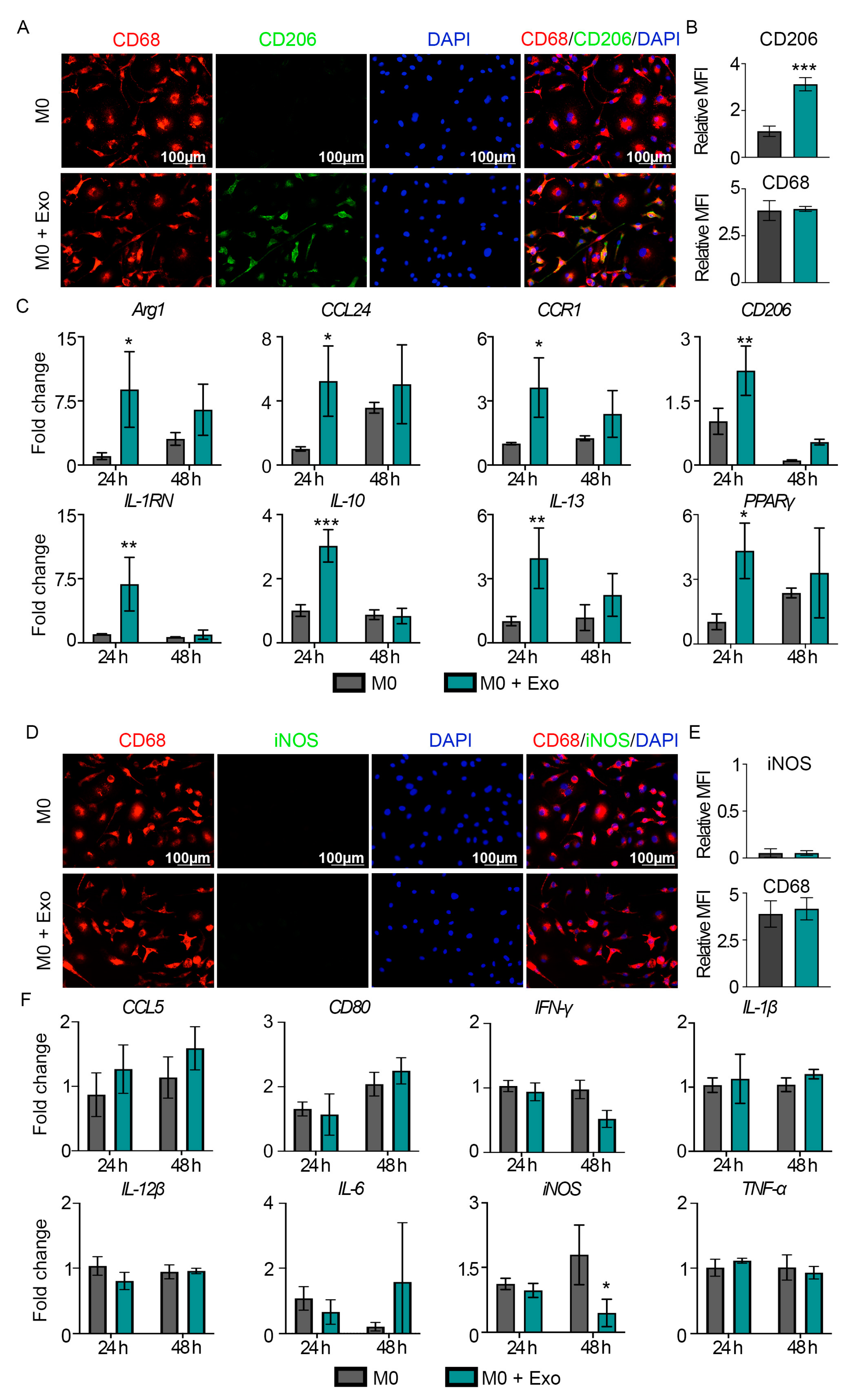 Pharmaceutics 15 01489 g002
