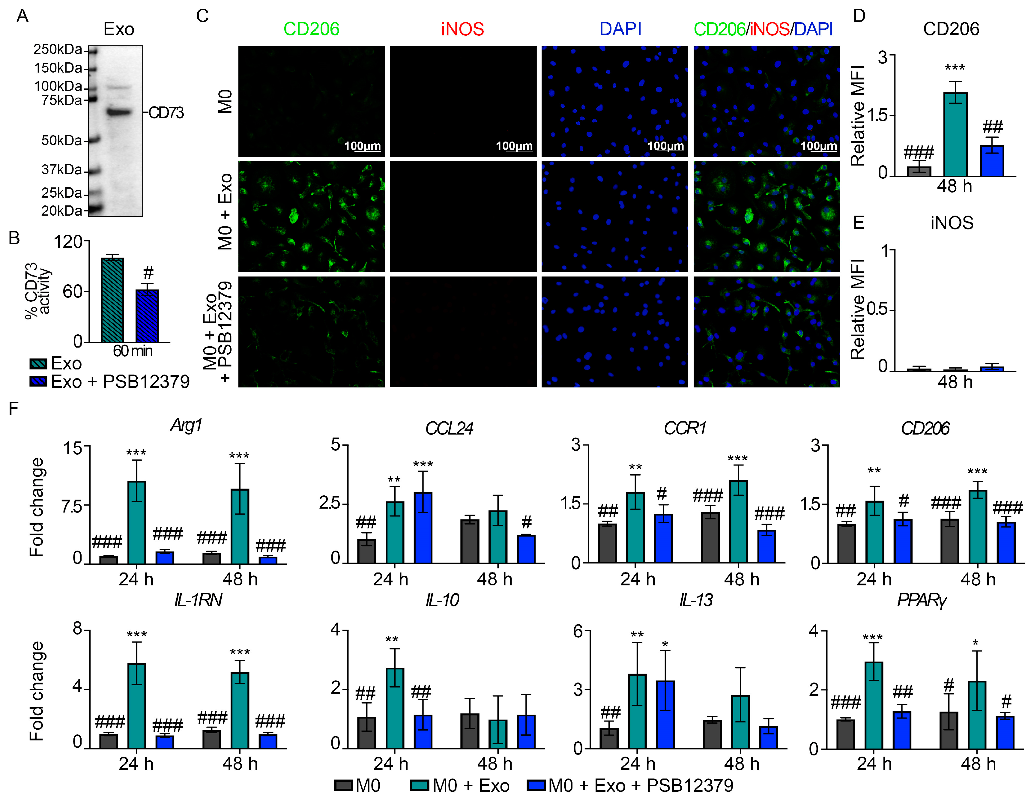 Pharmaceutics 15 01489 g003
