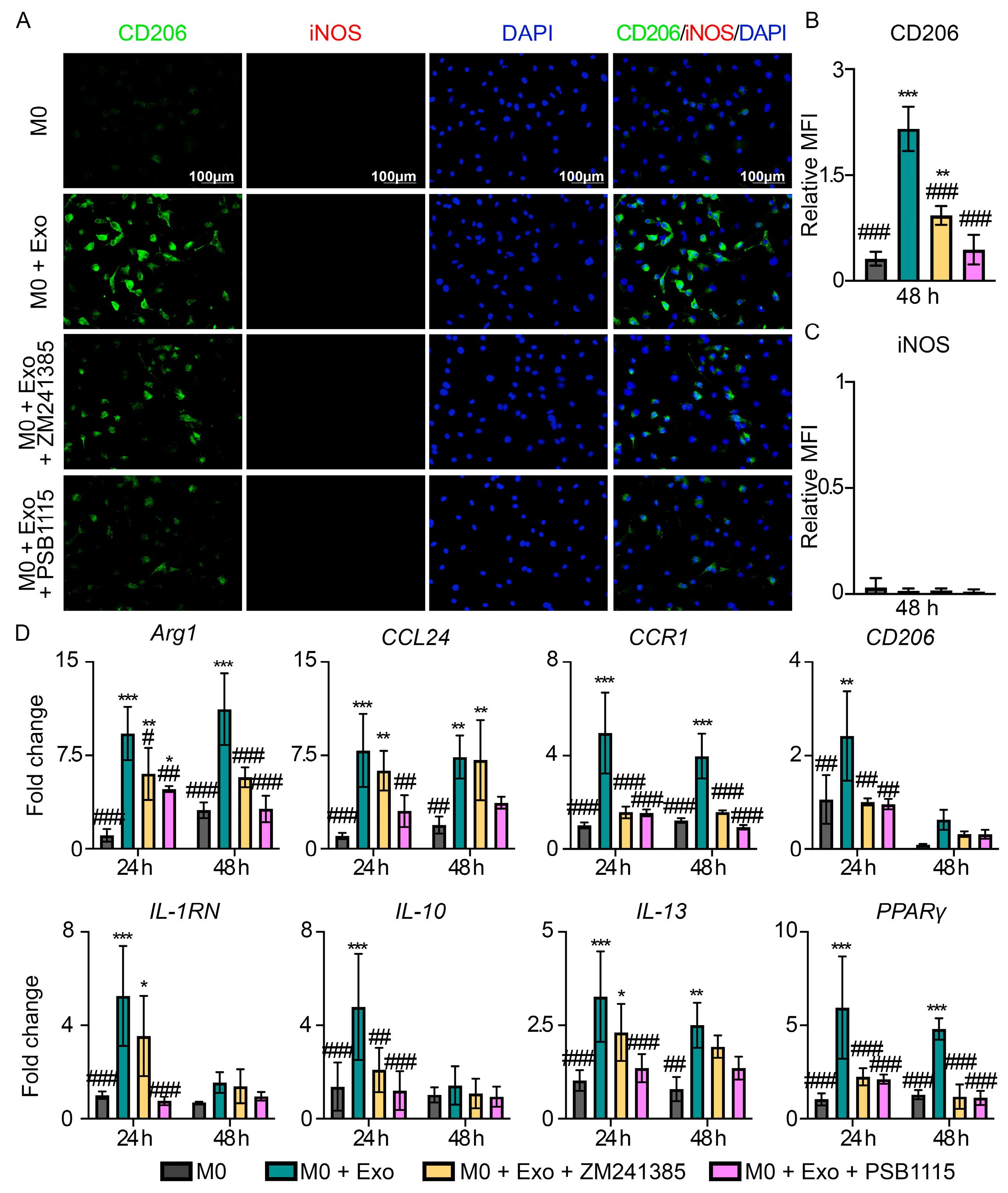 Pharmaceutics 15 01489 g005