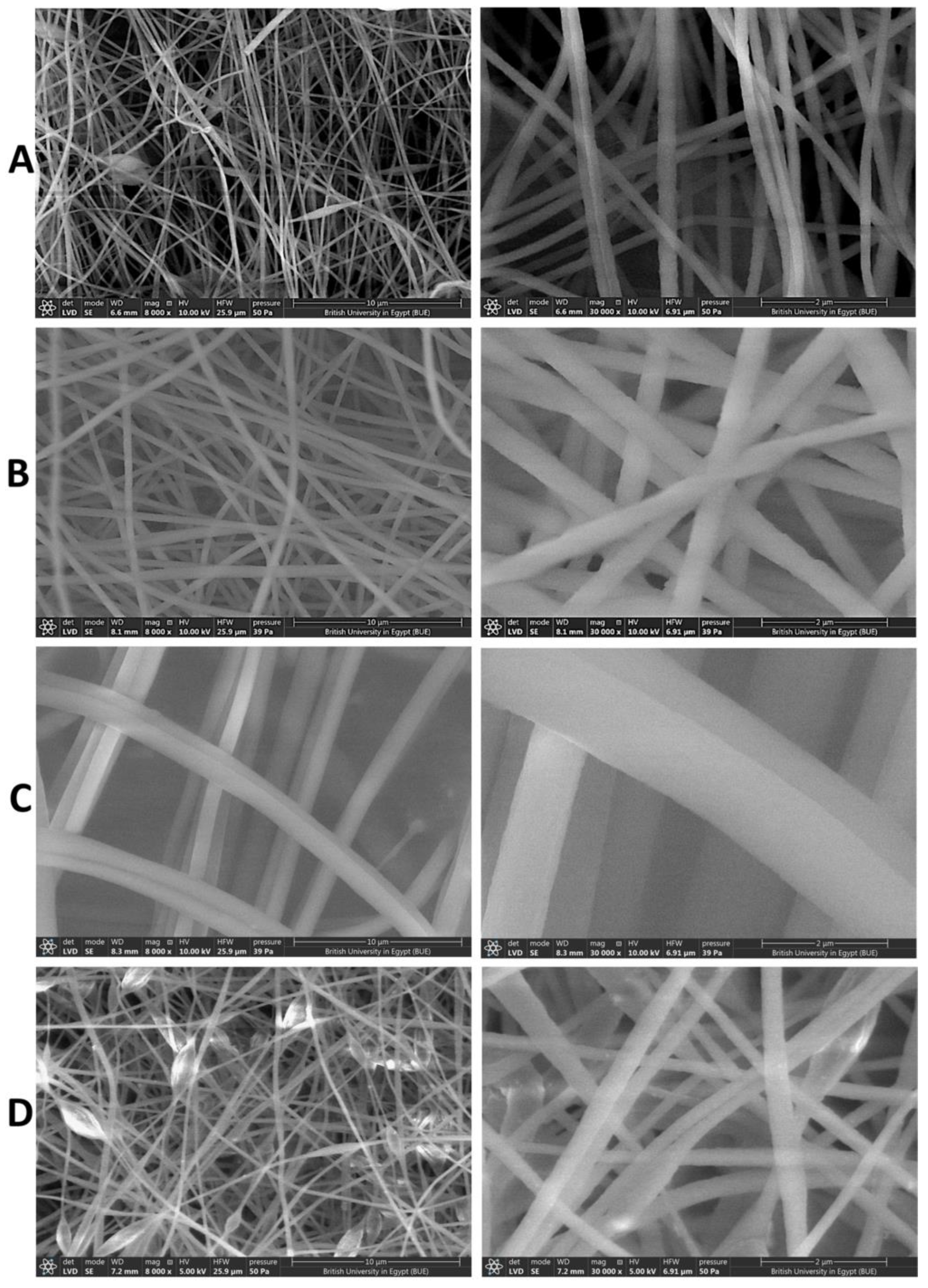 Pharmaceutics 15 01494 g002 Pharmaceutics 15 01494 g002
