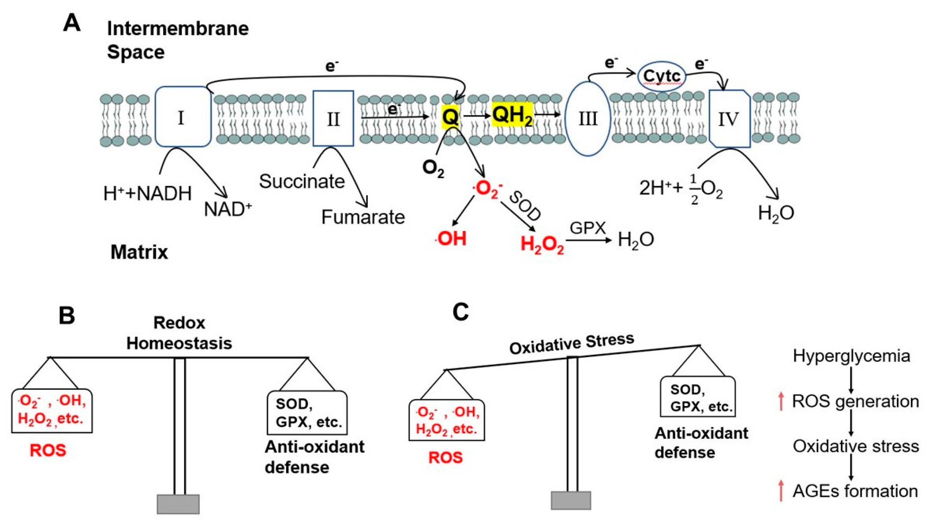 Pharmaceutics 15 01497 g001 Pharmaceutics 15 01497 g001