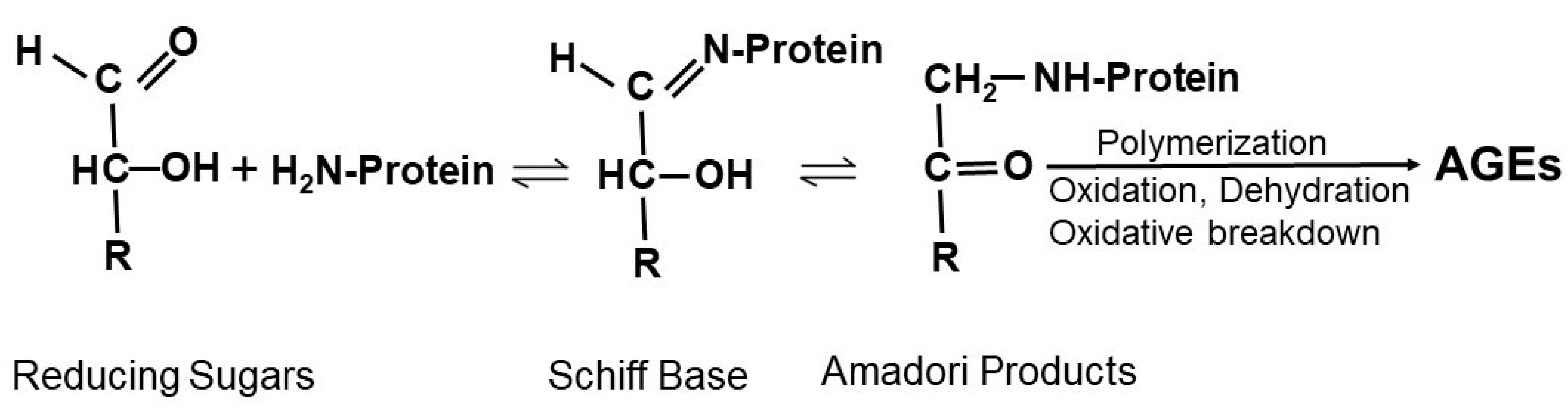 Pharmaceutics 15 01497 g002 Pharmaceutics 15 01497 g002