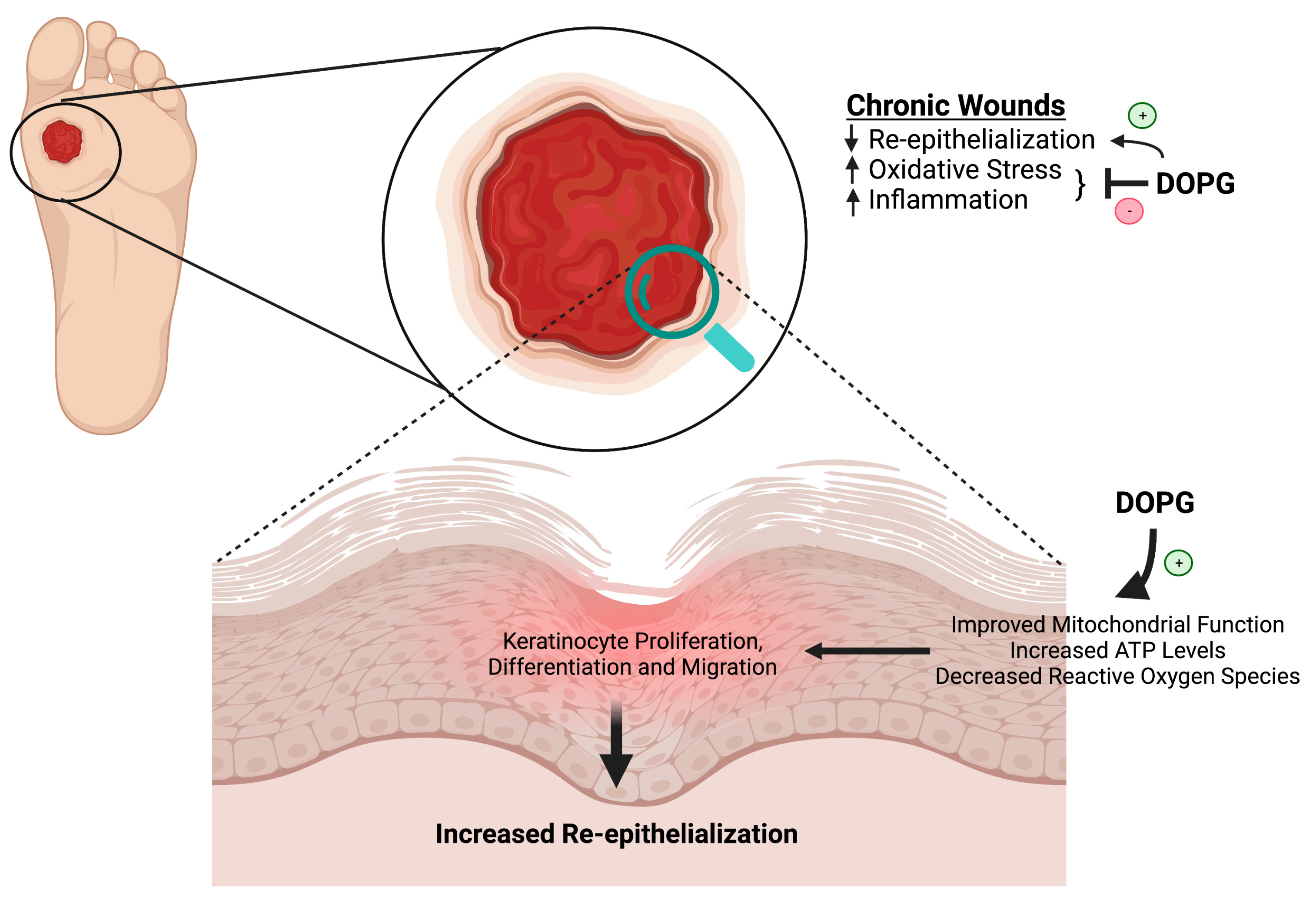 Pharmaceutics 15 01497 g006 Pharmaceutics 15 01497 g006