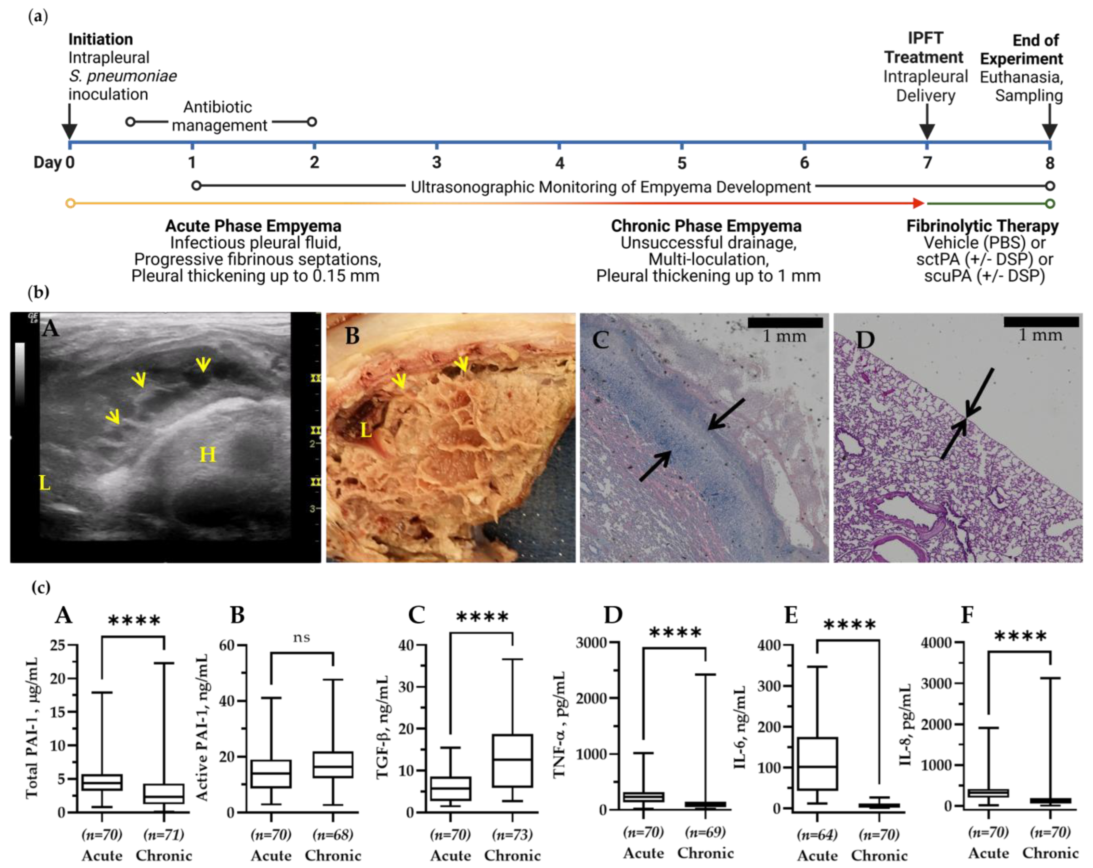Pharmaceutics 15 01498 g001 Pharmaceutics 15 01498 g001