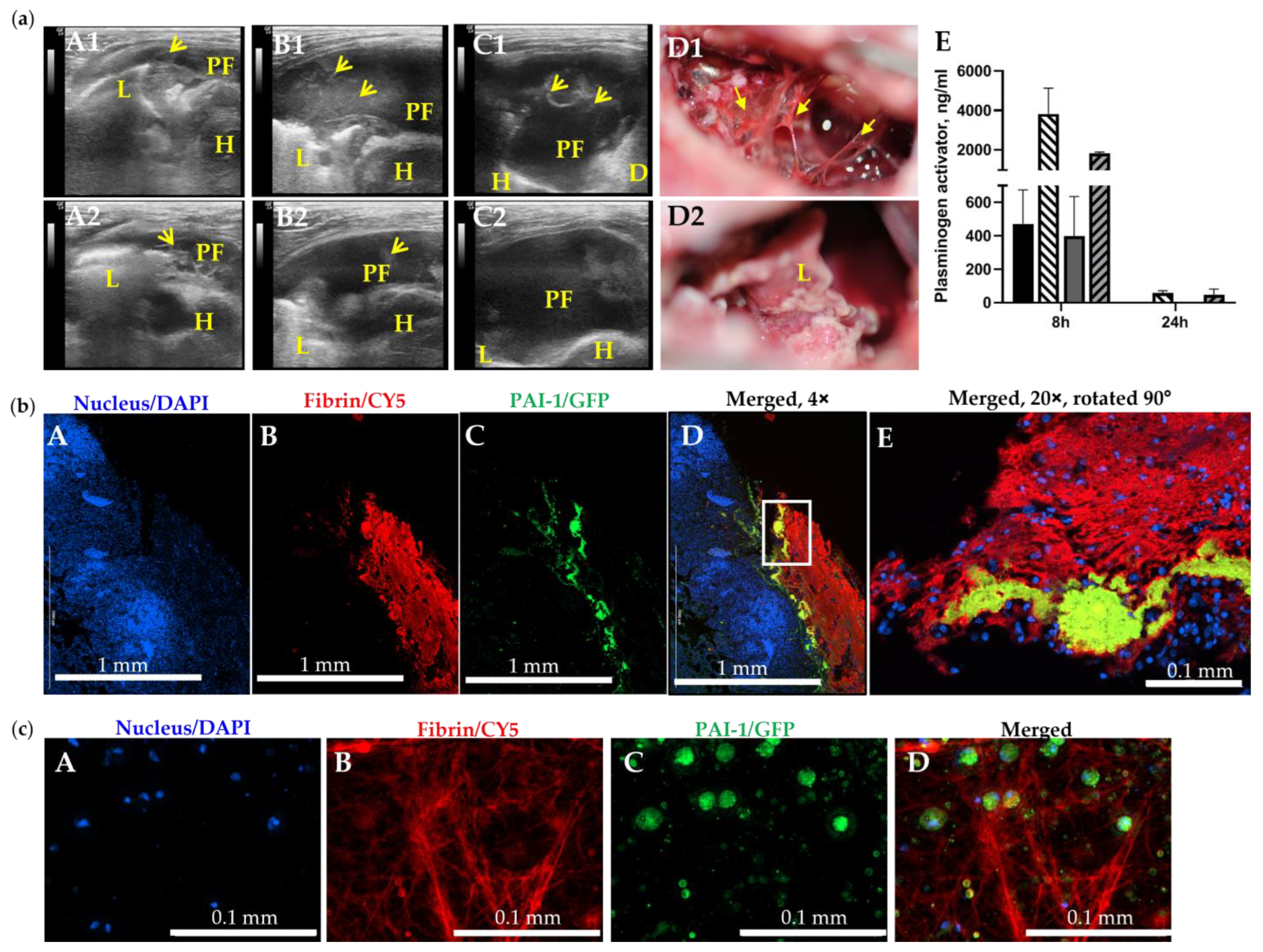 Pharmaceutics 15 01498 g004 Pharmaceutics 15 01498 g004