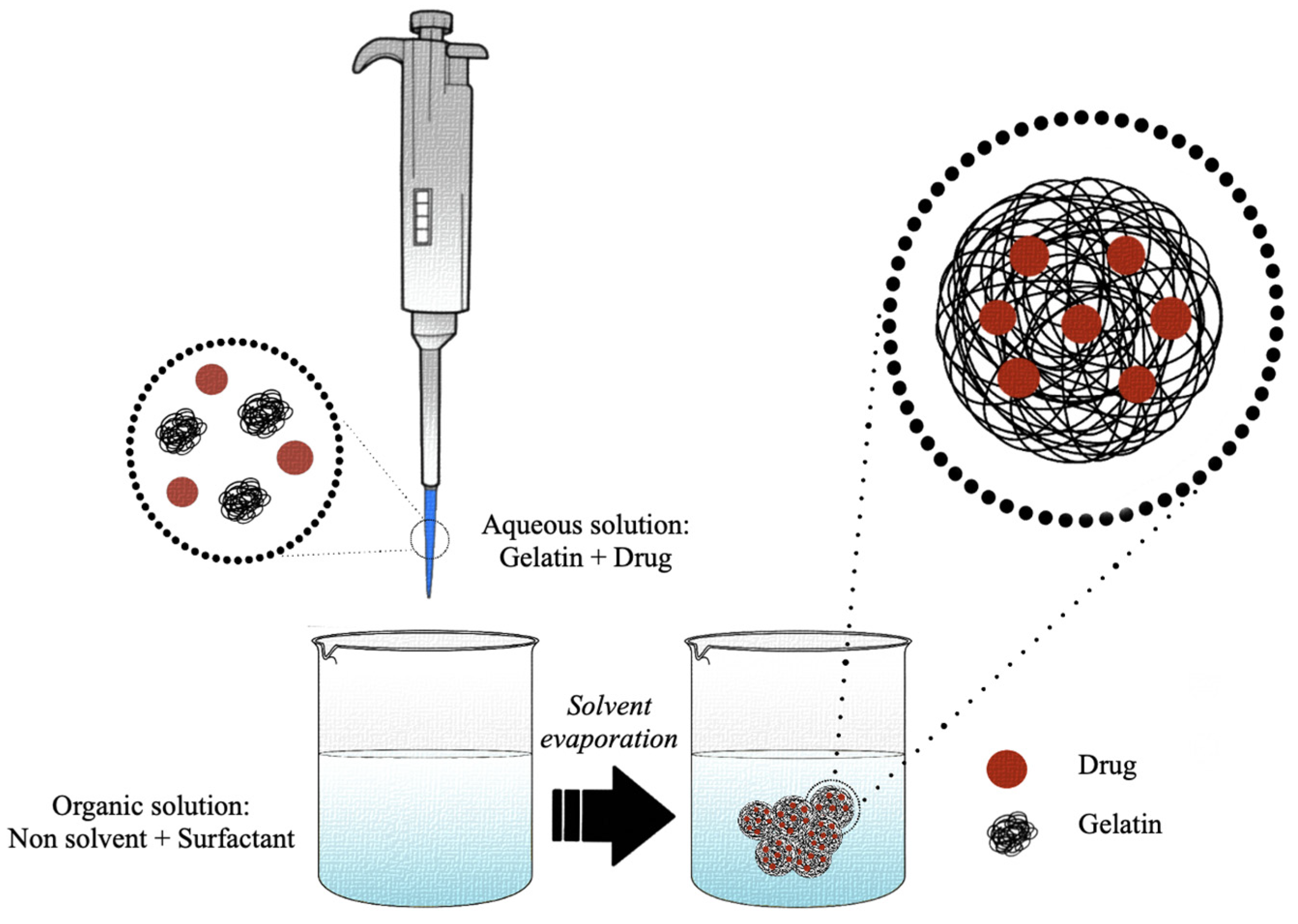 Pharmaceutics 15 01499 g006 Pharmaceutics 15 01499 g006