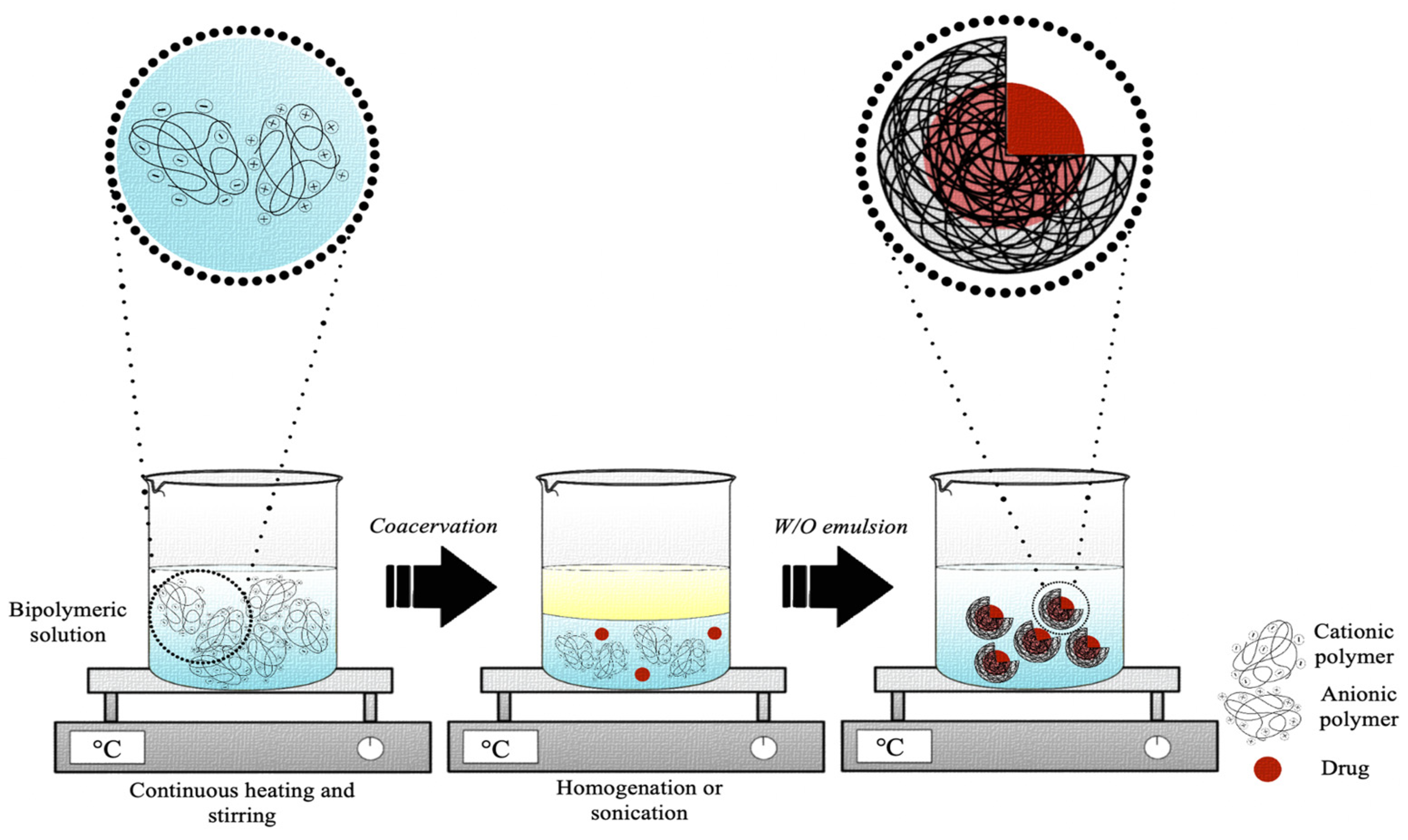 Pharmaceutics 15 01499 g007 Pharmaceutics 15 01499 g007