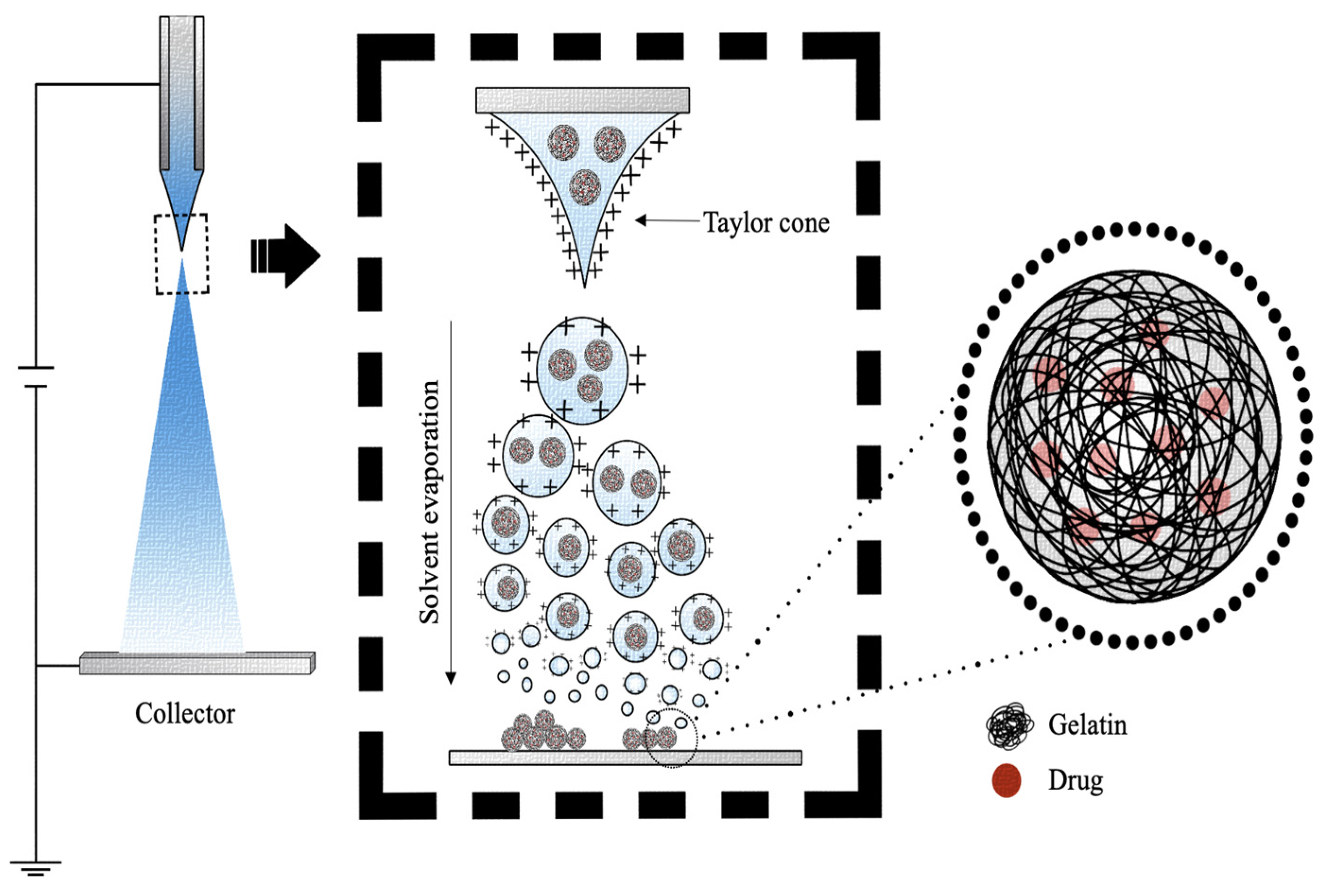 Pharmaceutics 15 01499 g010 Pharmaceutics 15 01499 g010
