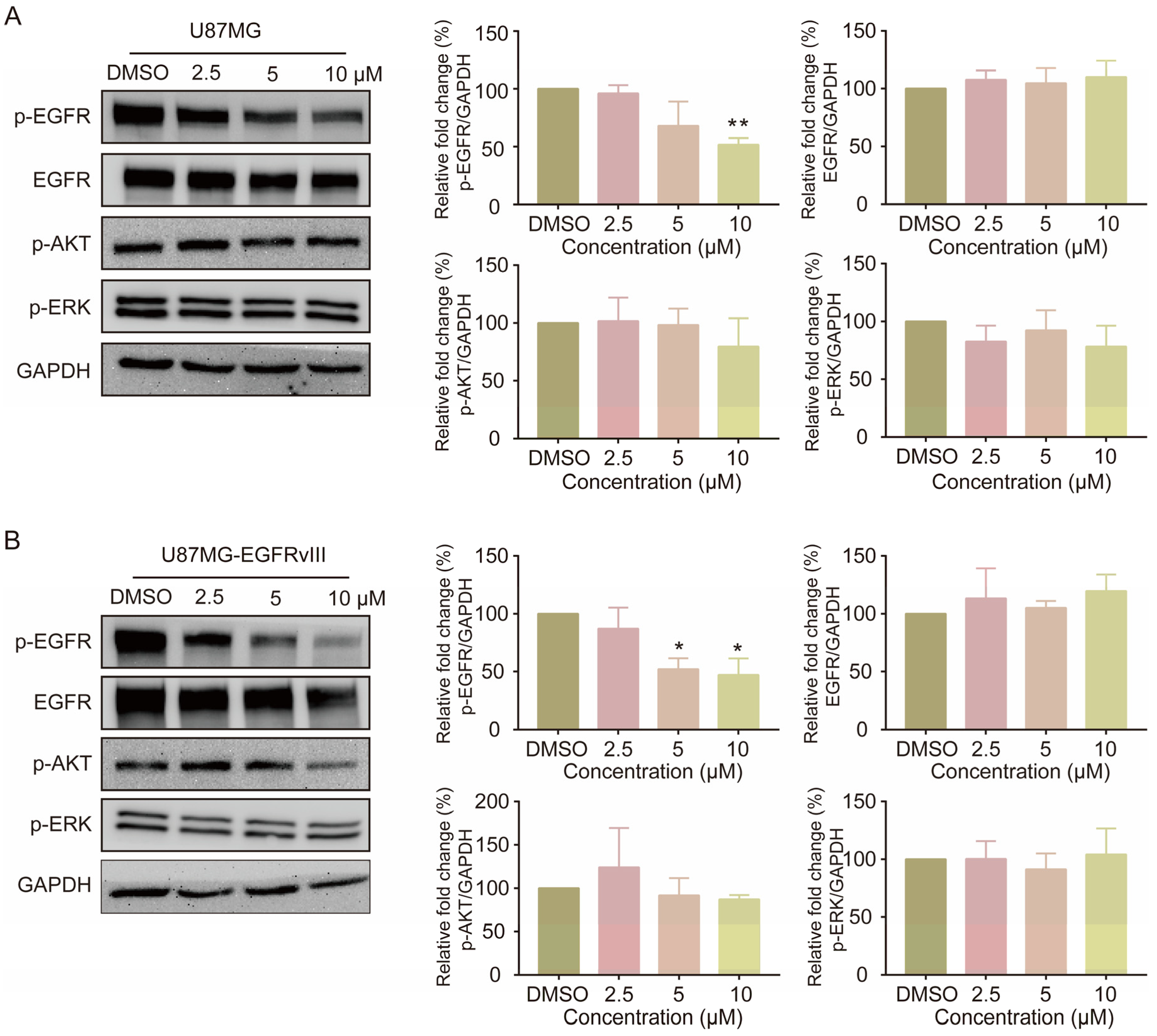 Pharmaceutics 15 01501 g003