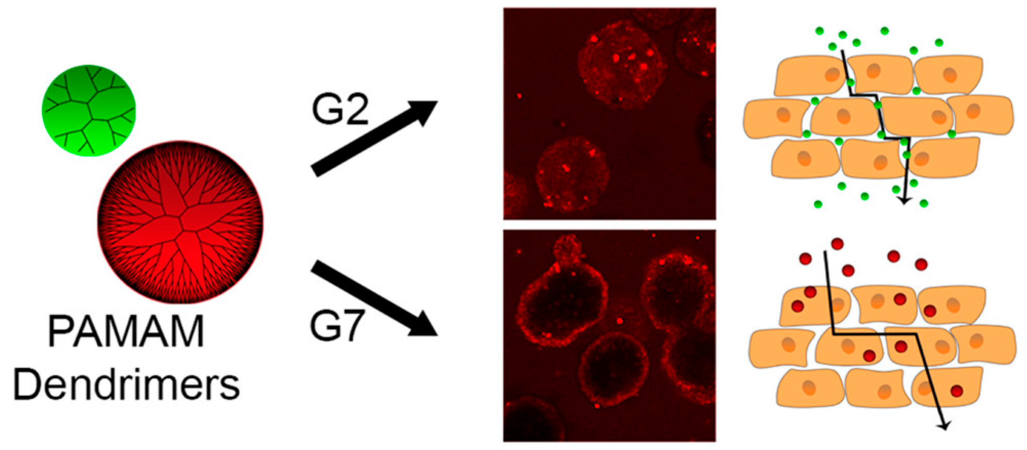 Pharmaceutics 15 01502 g002