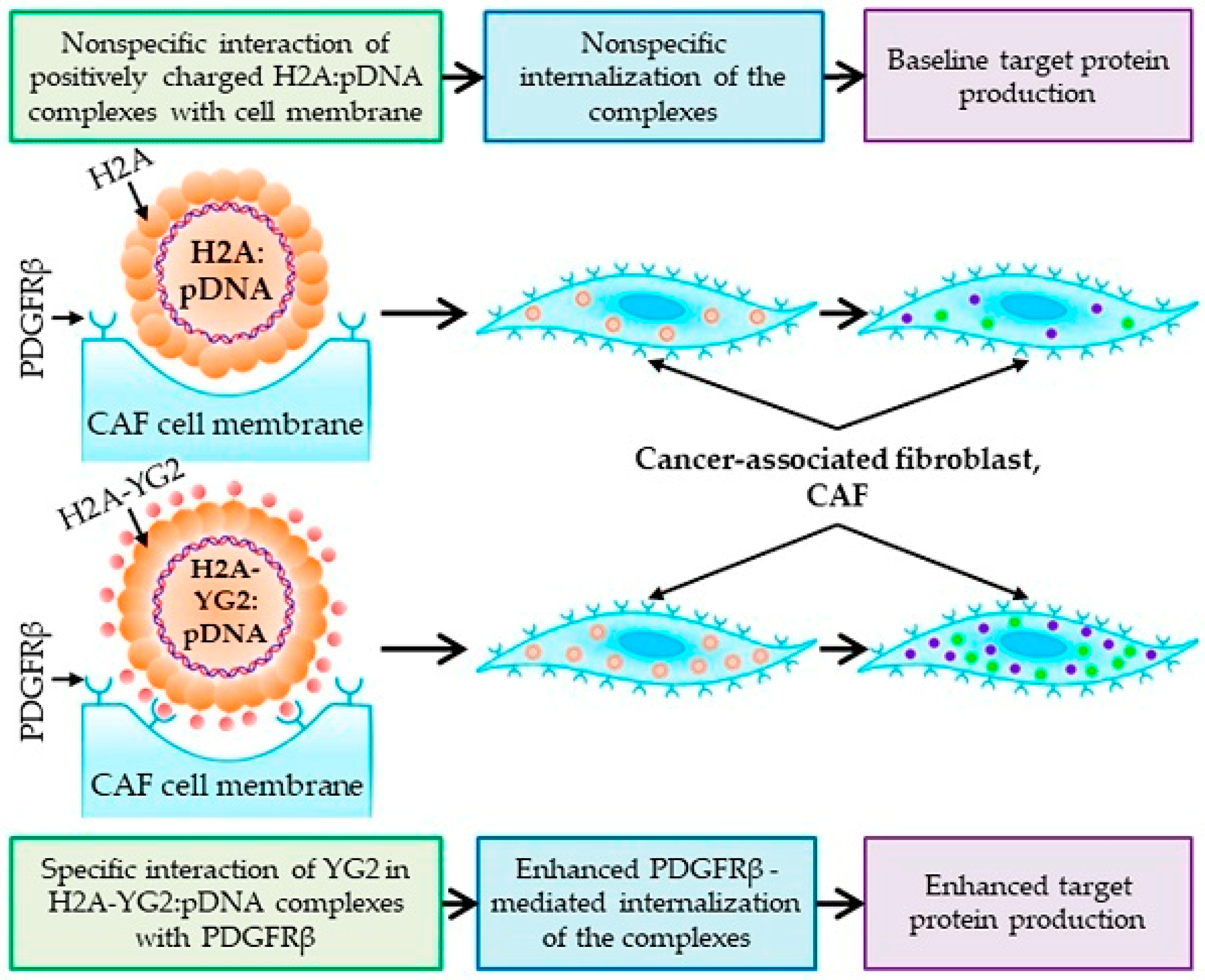 Pharmaceutics 15 01502 g004