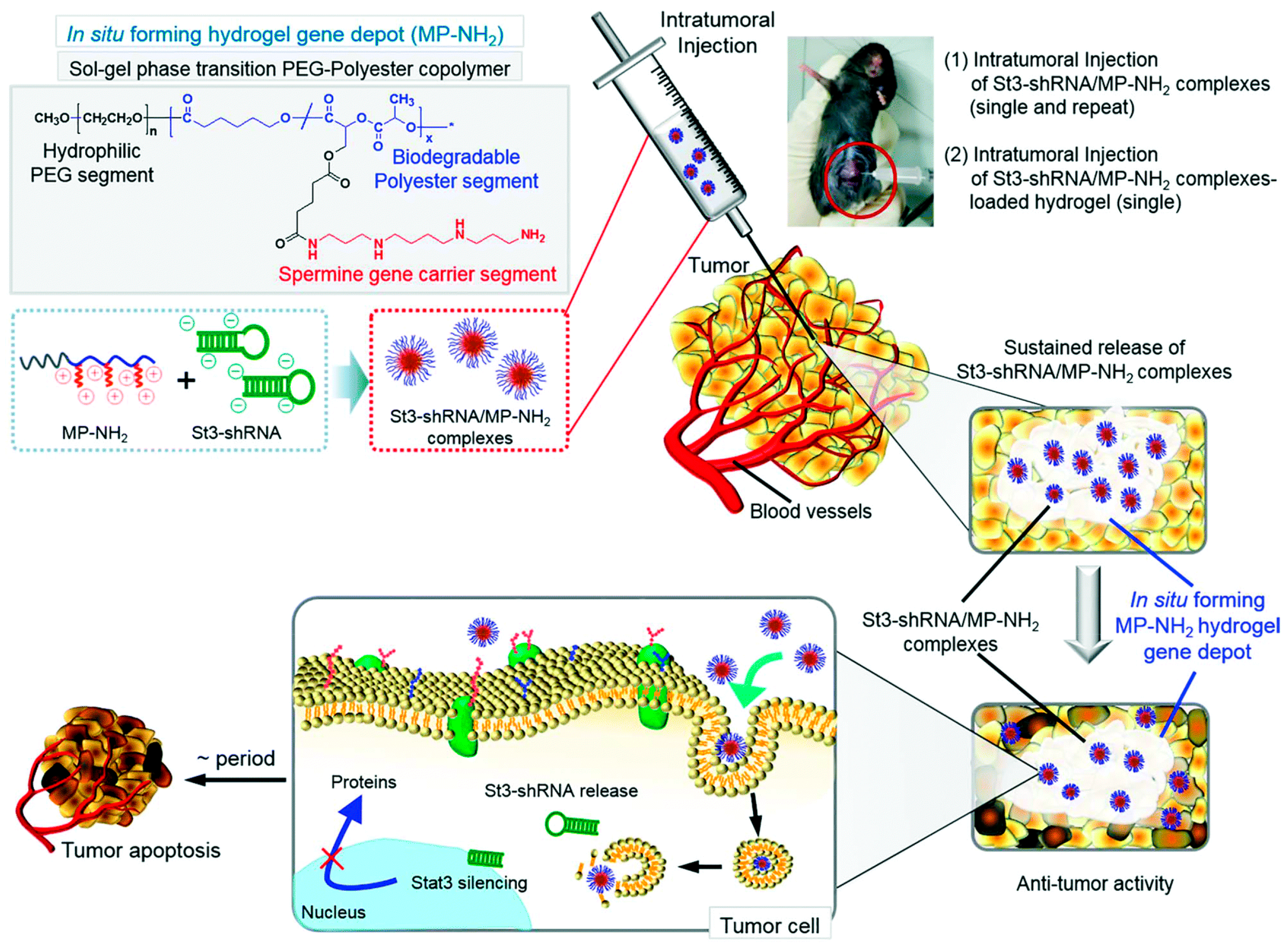Pharmaceutics 15 01502 g008