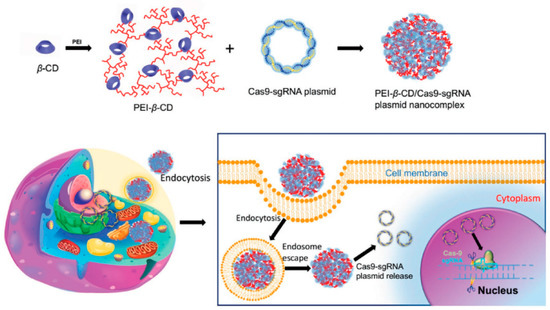 Cationic Polymers as Transfection Reagents for Nucleic Acid