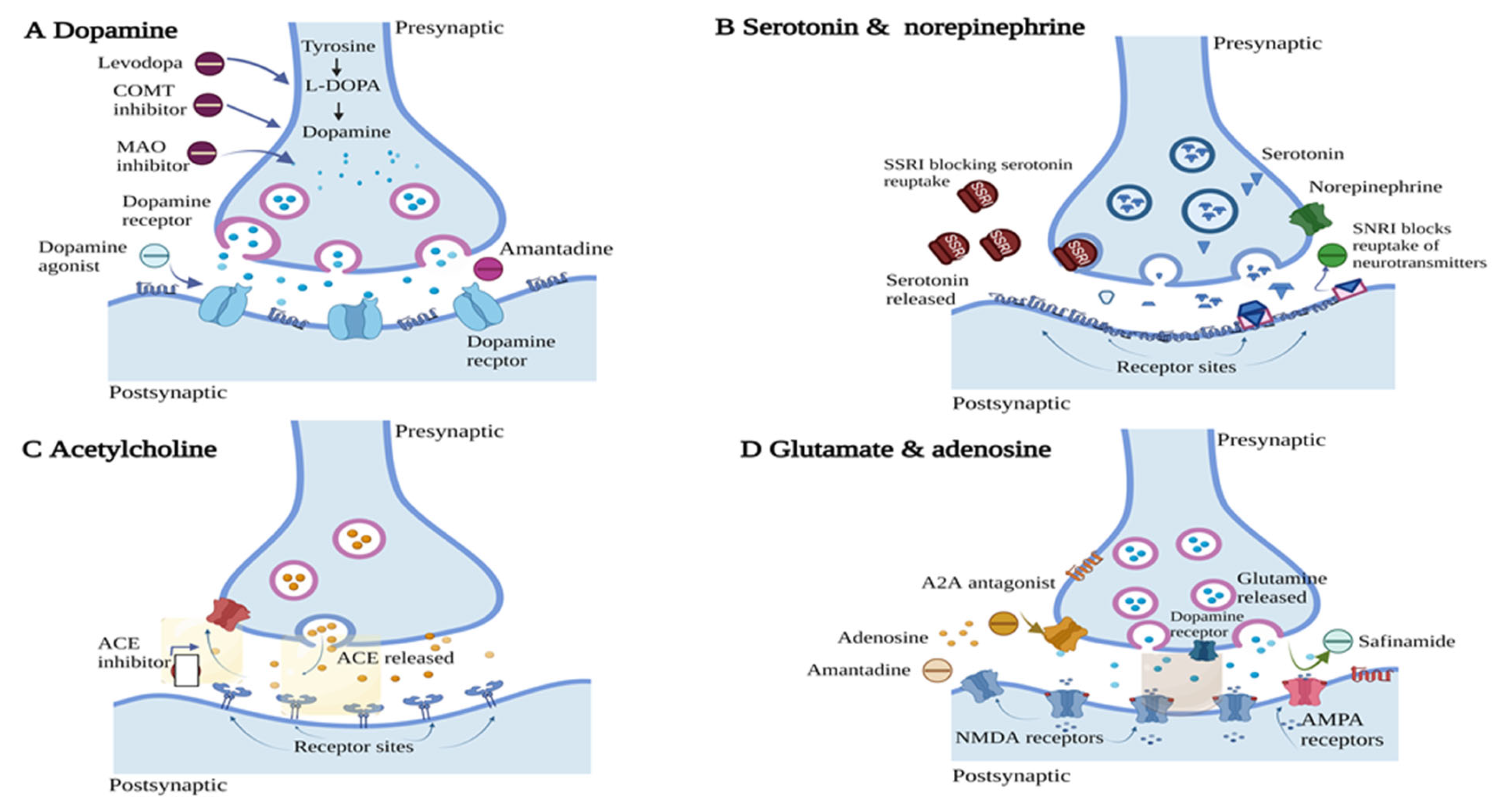 Pharmaceutics 15 01503 g004 Pharmaceutics 15 01503 g004