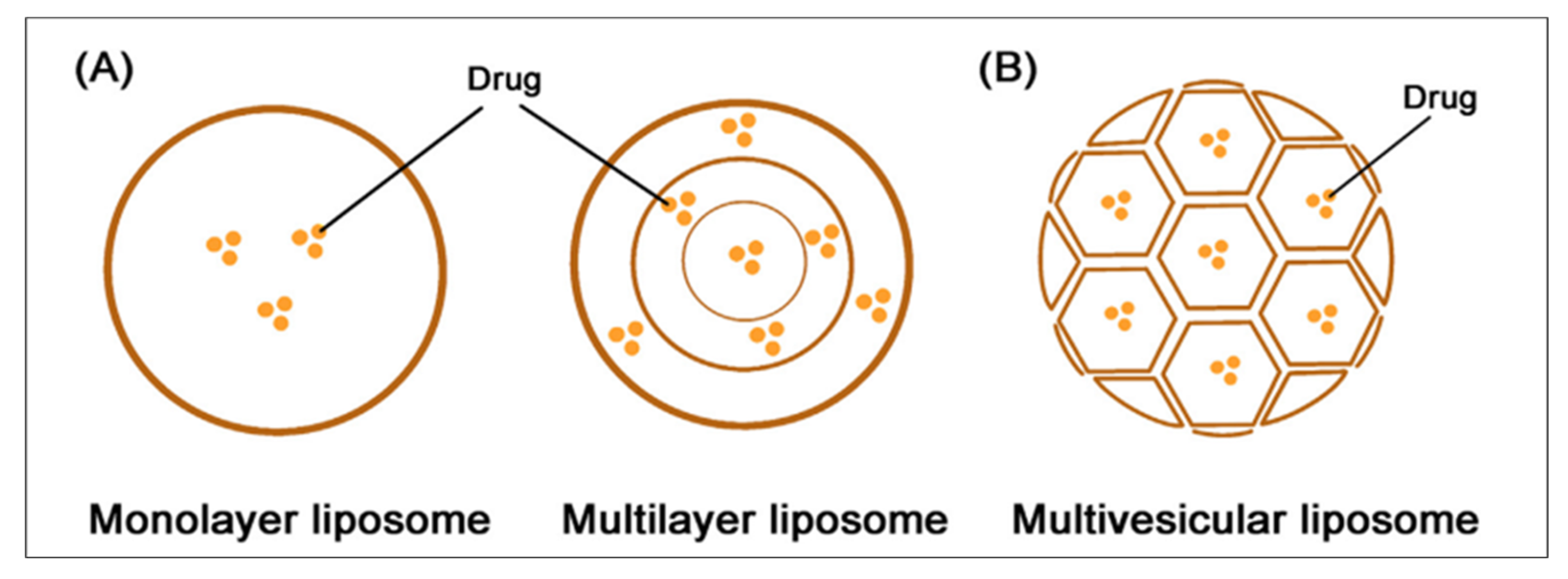 Pharmaceutics 15 01503 g008 Pharmaceutics 15 01503 g008