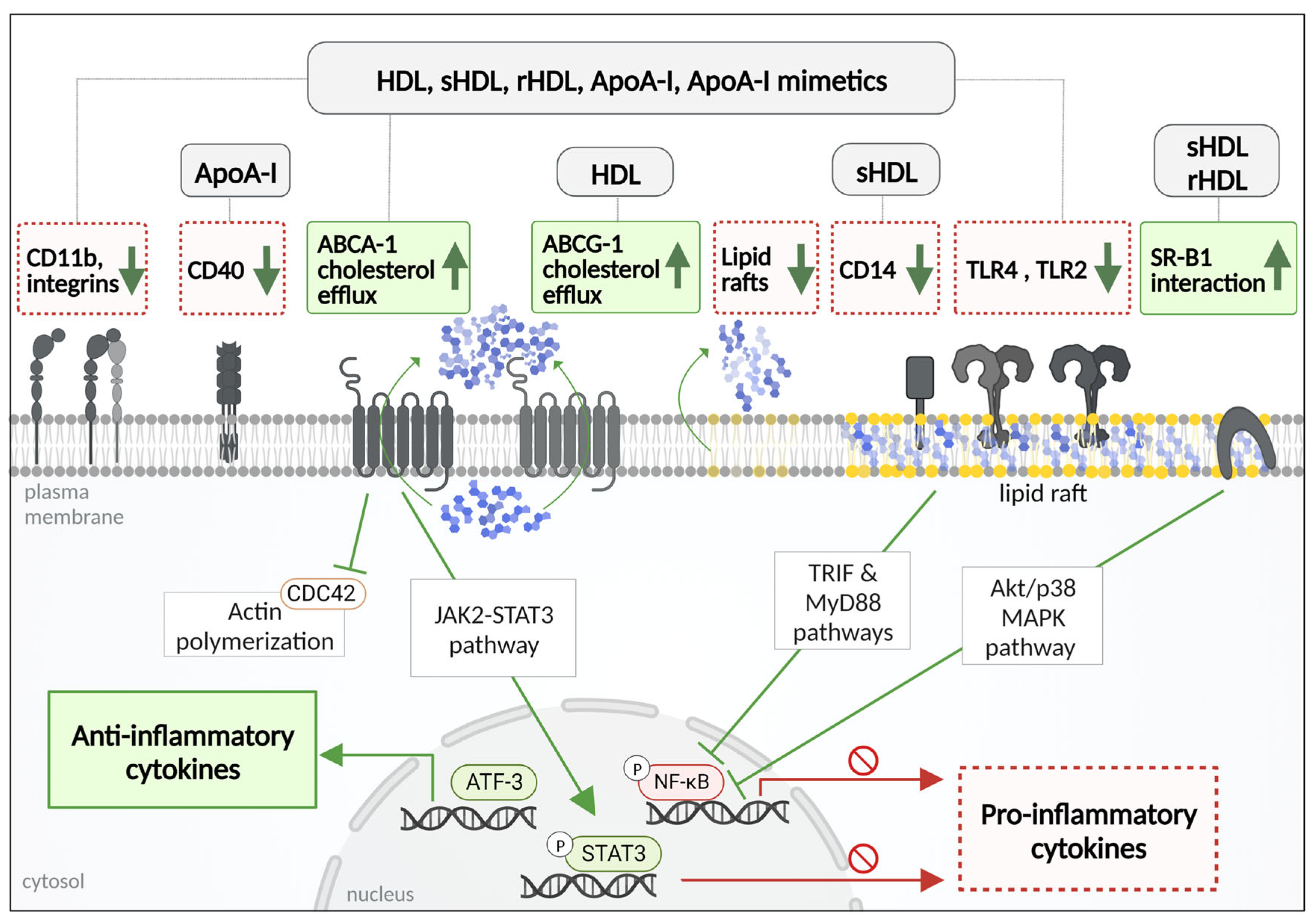Pharmaceutics 15 01504 g003 Pharmaceutics 15 01504 g003