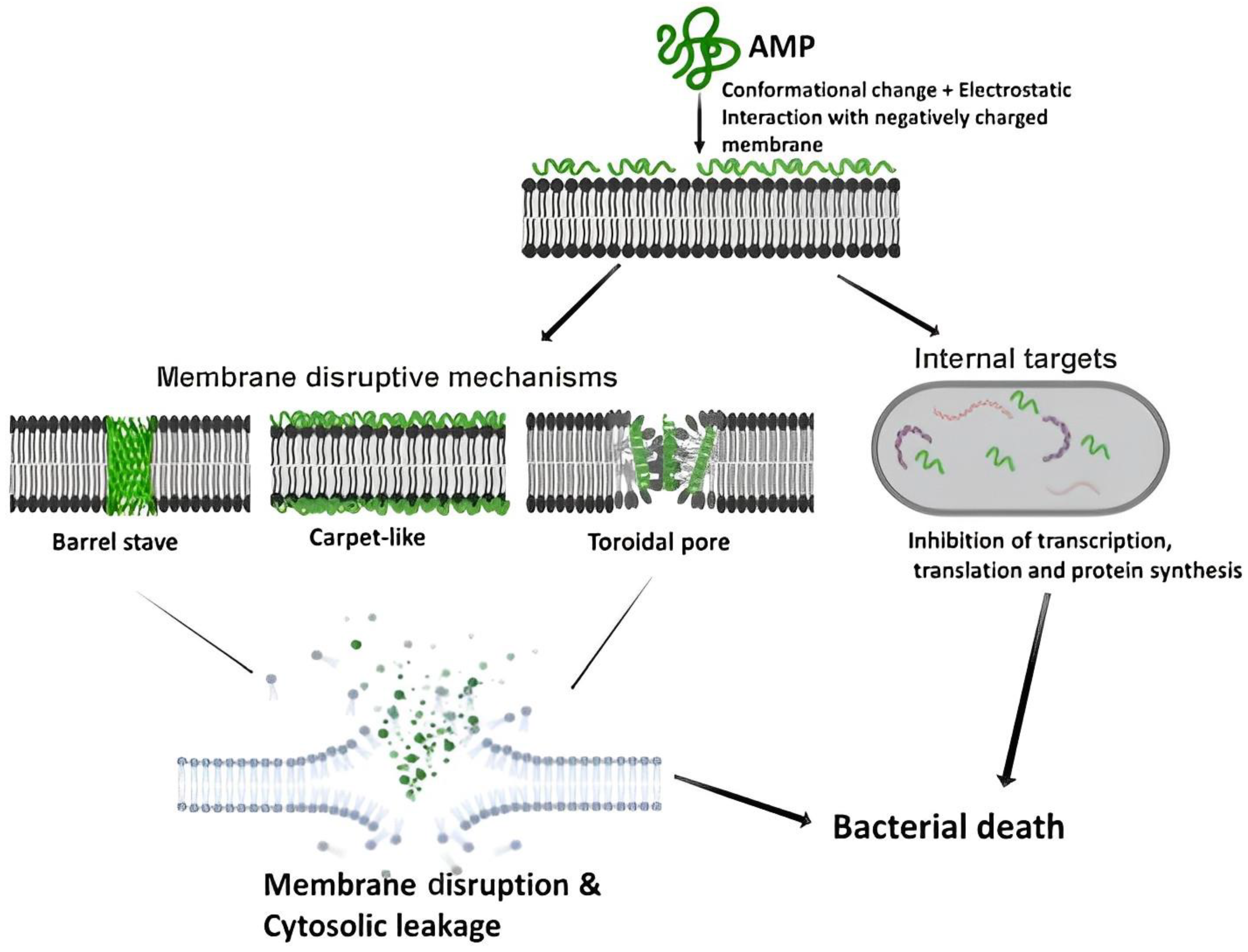 Pharmaceutics 15 01506 g001 Pharmaceutics 15 01506 g001