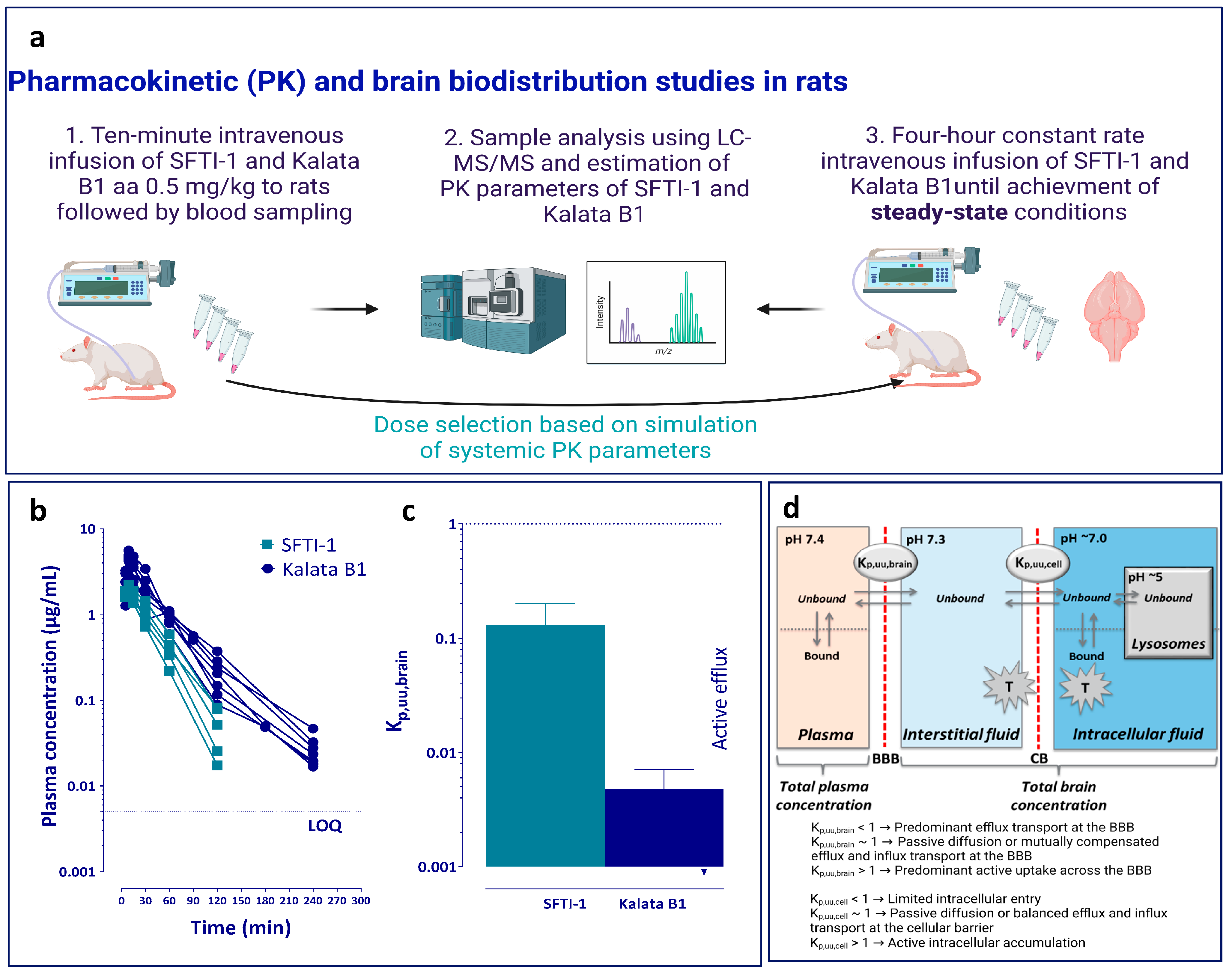 Pharmaceutics 15 01507 g001